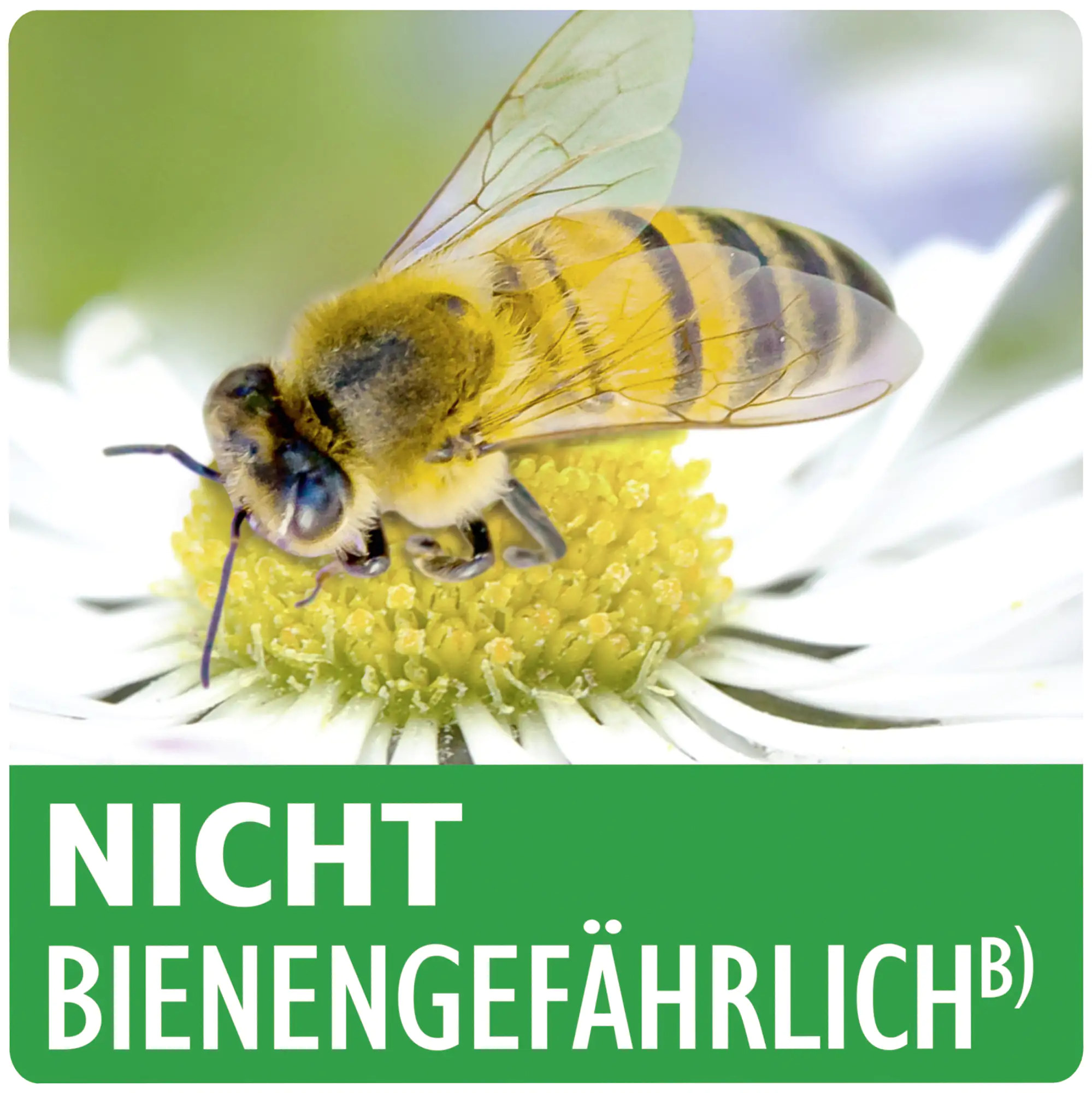 Spruzit AF Rosen-Schädlingsfrei 500 ml