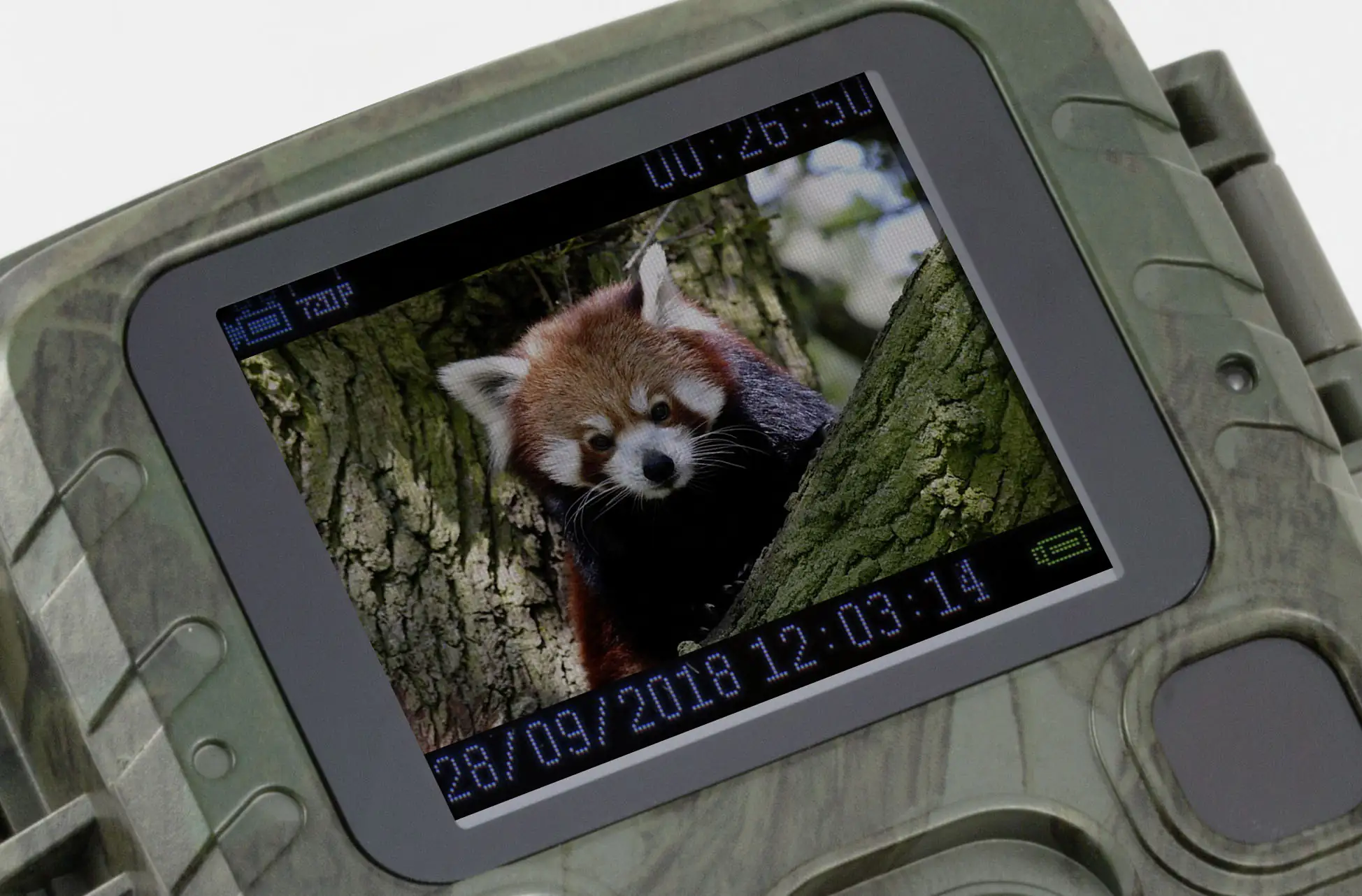 Technaxx Mini Wildtierkamera TX-117  1,9 Zoll TFT Farb-Display
