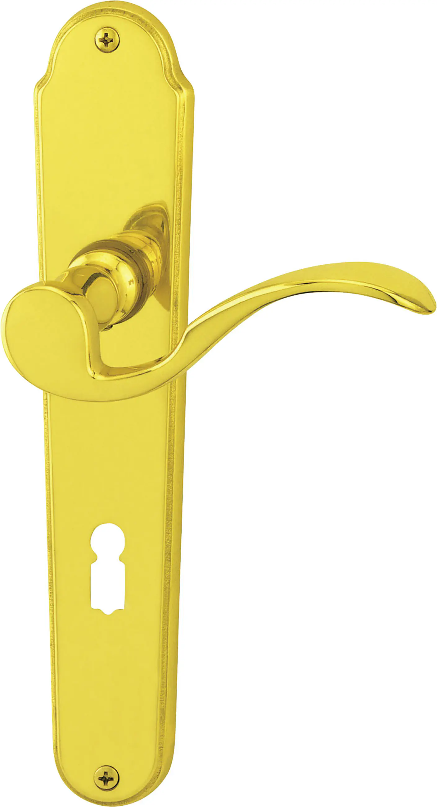 Südmetall Türgriff-Garnitur Langschild Panda BB Messing poliert gold 225 x 40 mm