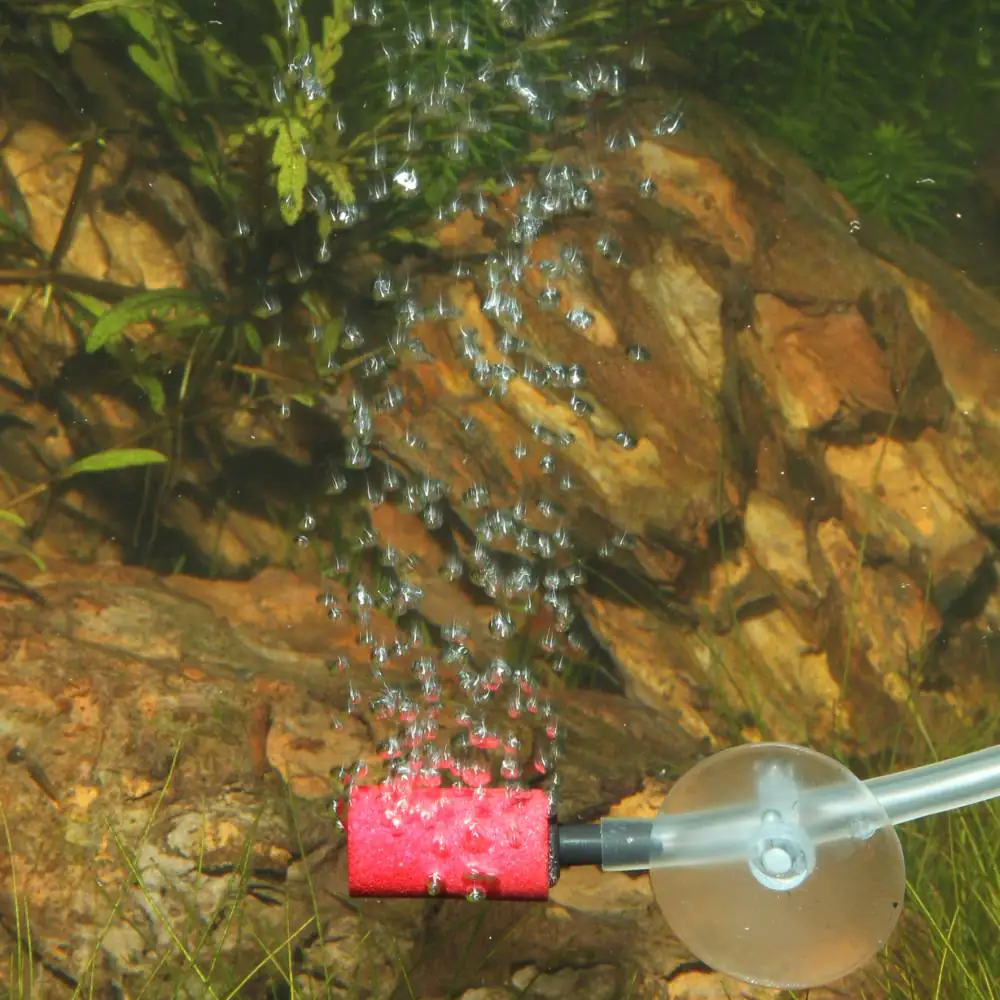 JBL ProSilent Aeras Micro S3 Ausströmerstein-Set für Luftblasen in Aquarien