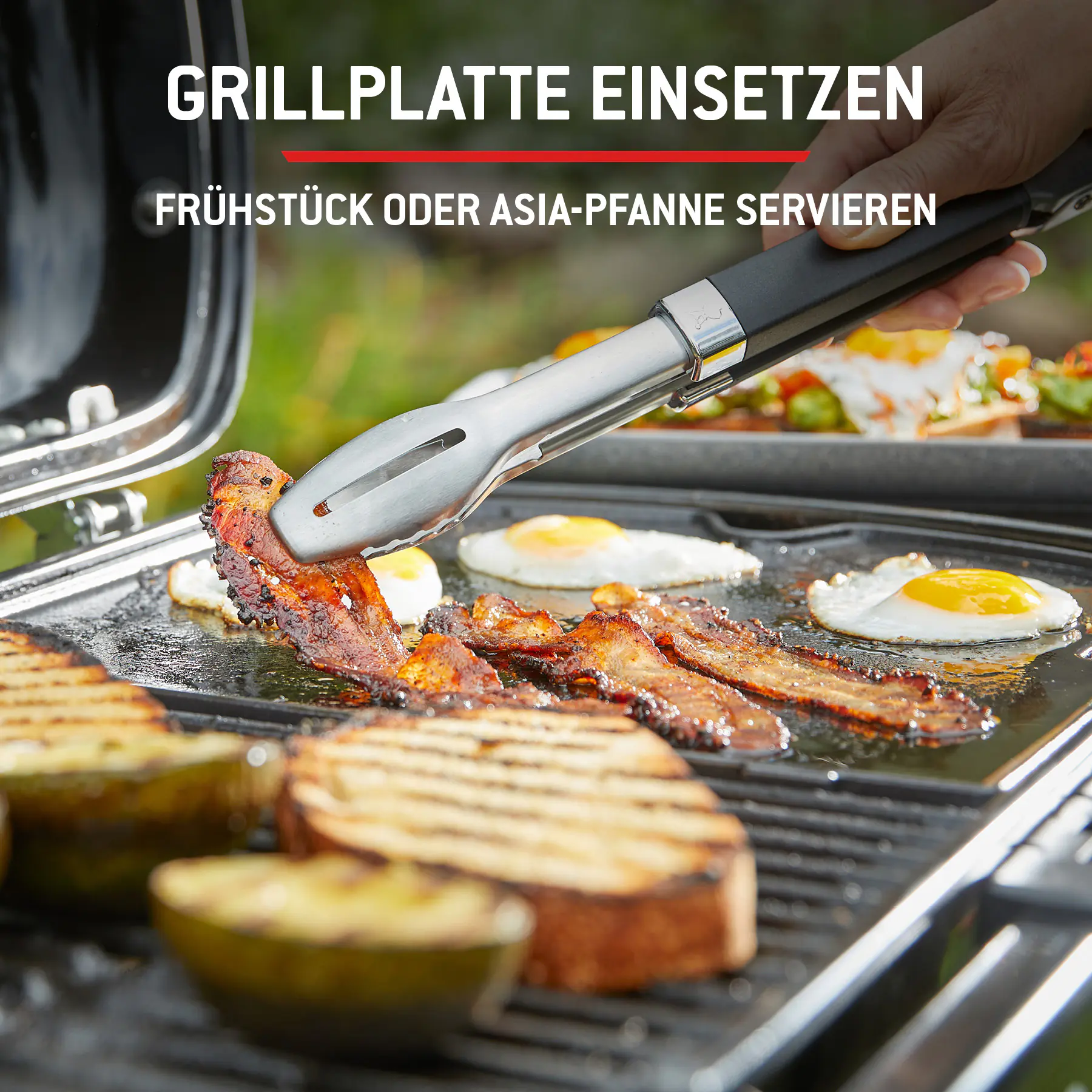 Weber Gasgrill Traveler Grillfläche: 63 x 34 cm