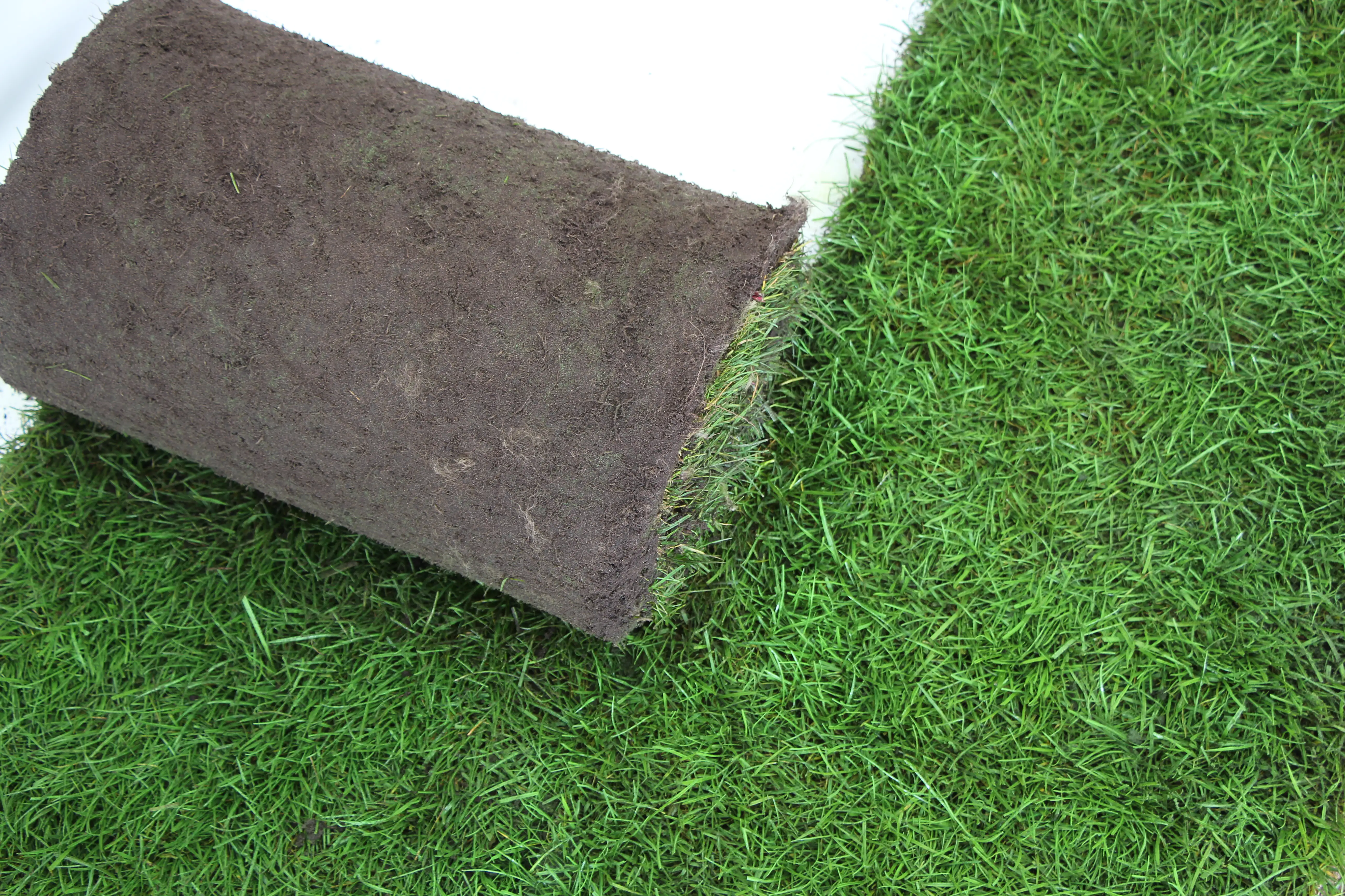 Premoplan Rollrasen Premium ab 30 m²