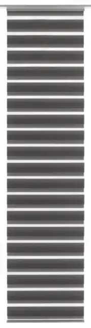 Gardinia Flächenvorhang Day+Night grau, 60 x 245 cm