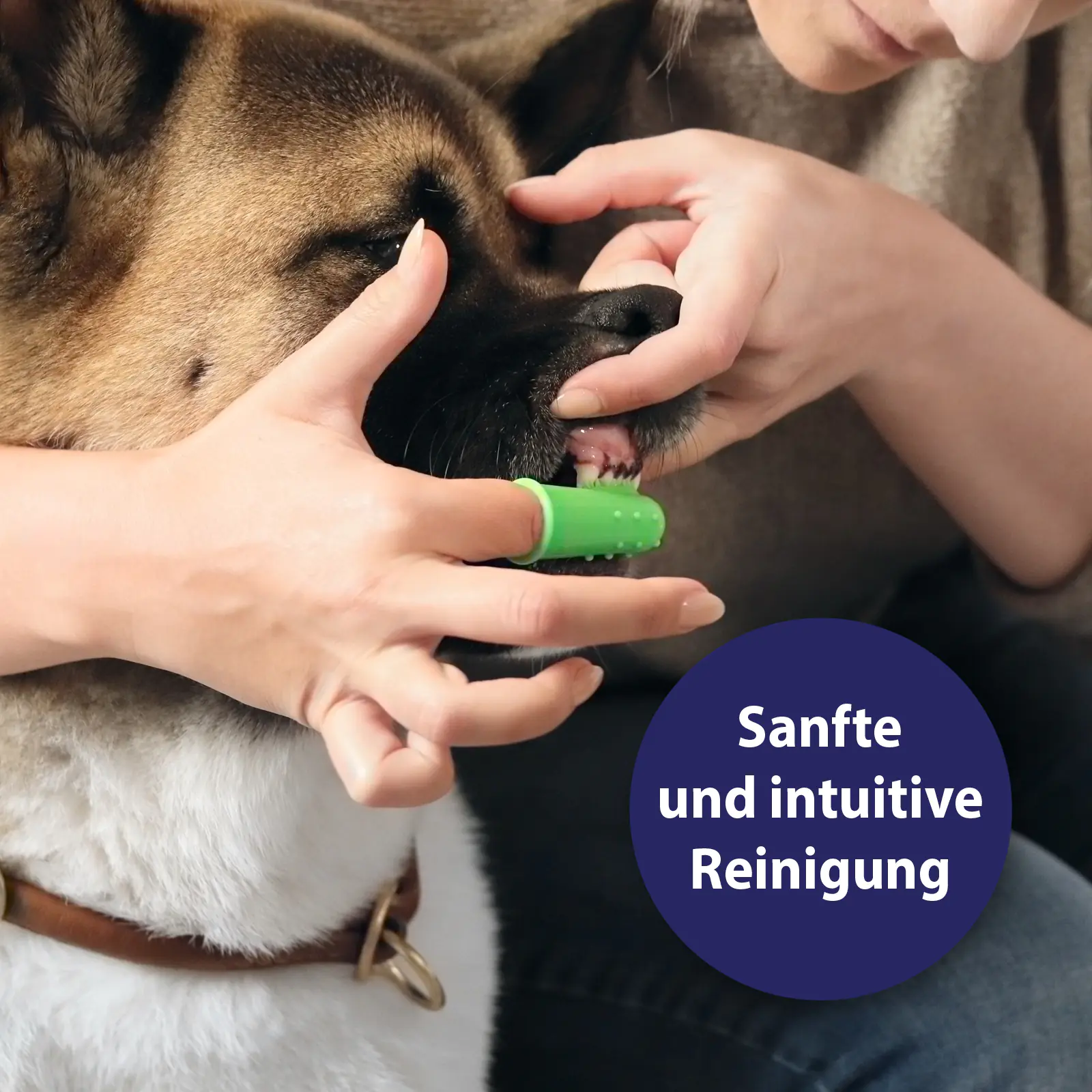Canosept Zahnpflege Finger-Bürsten für Hunde 3 Stück