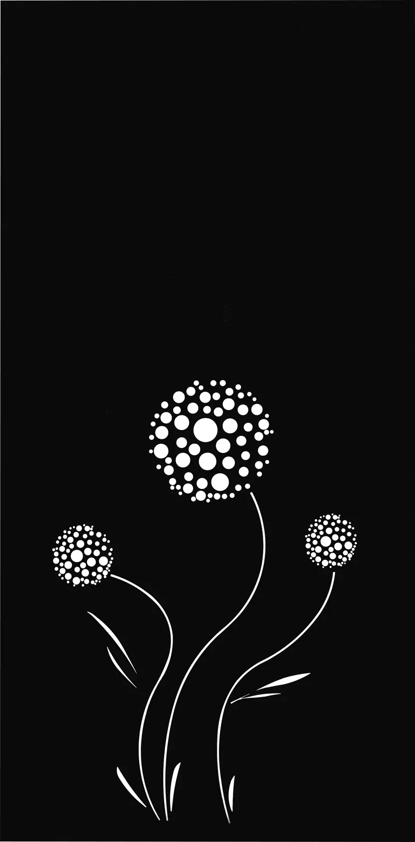 Floraworld Sichtschutz Garten Dekor Leone 90 x 178 cm cm anthrazit