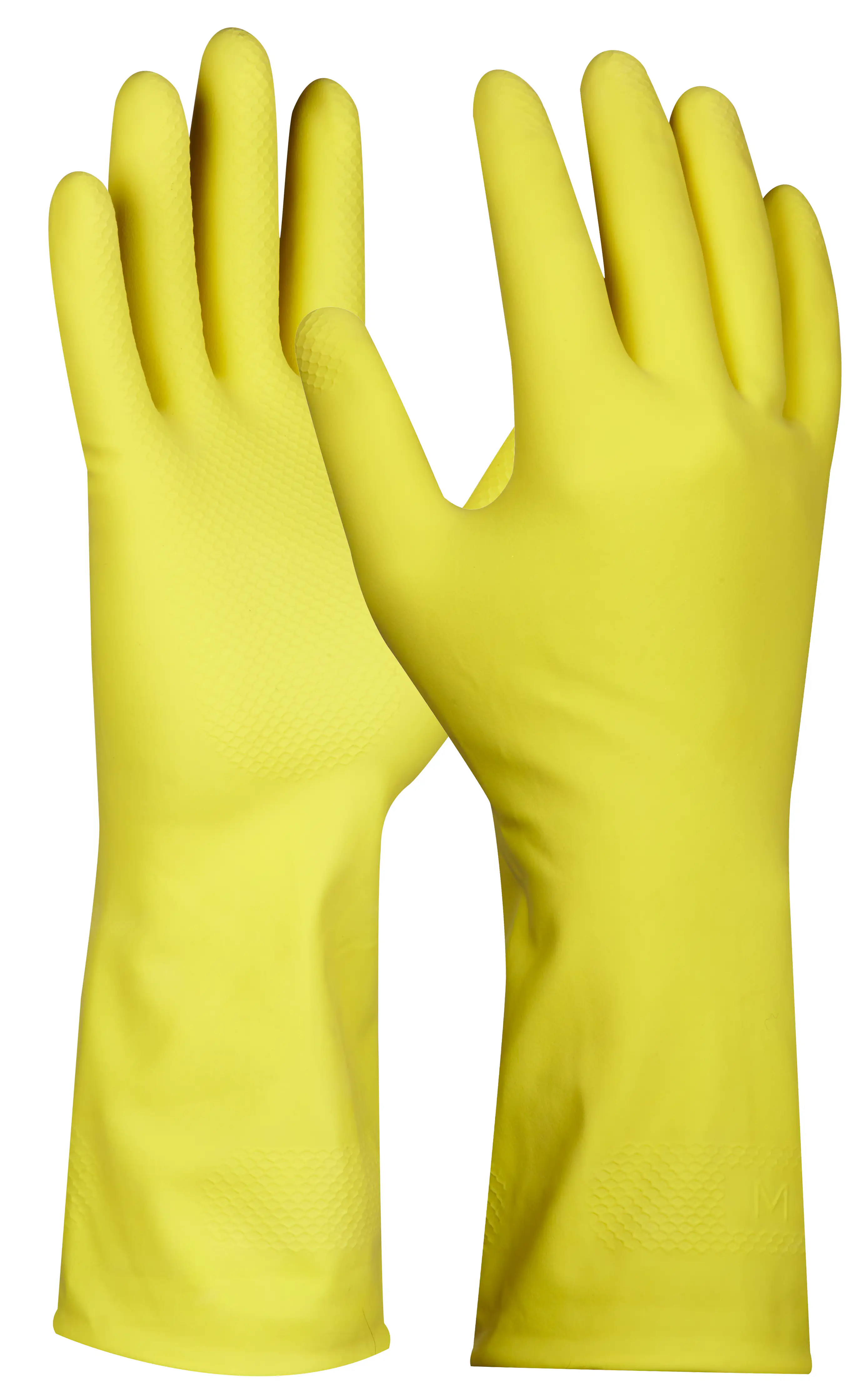 Gebol Handschuh Dana Haushalt 2 Paar Packung  