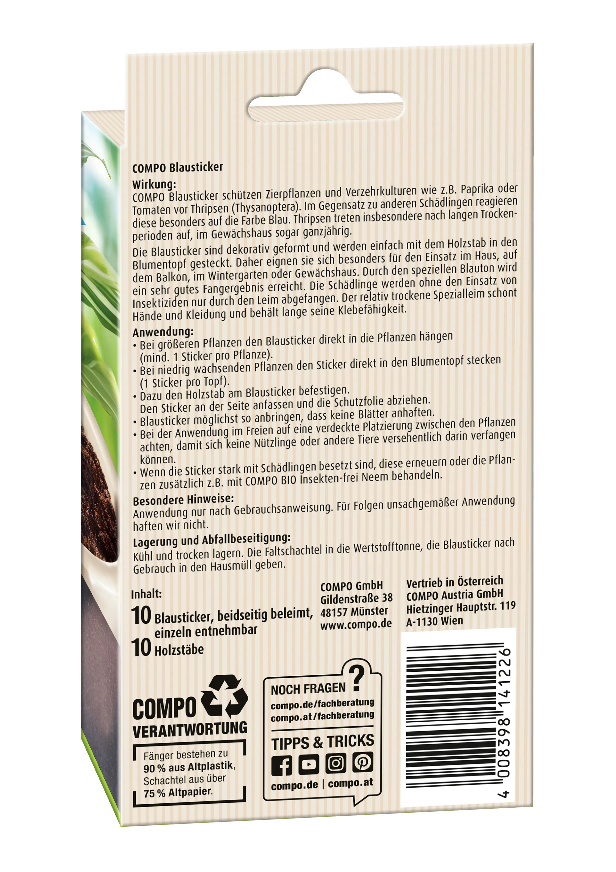 Compo Bio Blausticker gegen Thripse 10 Stück