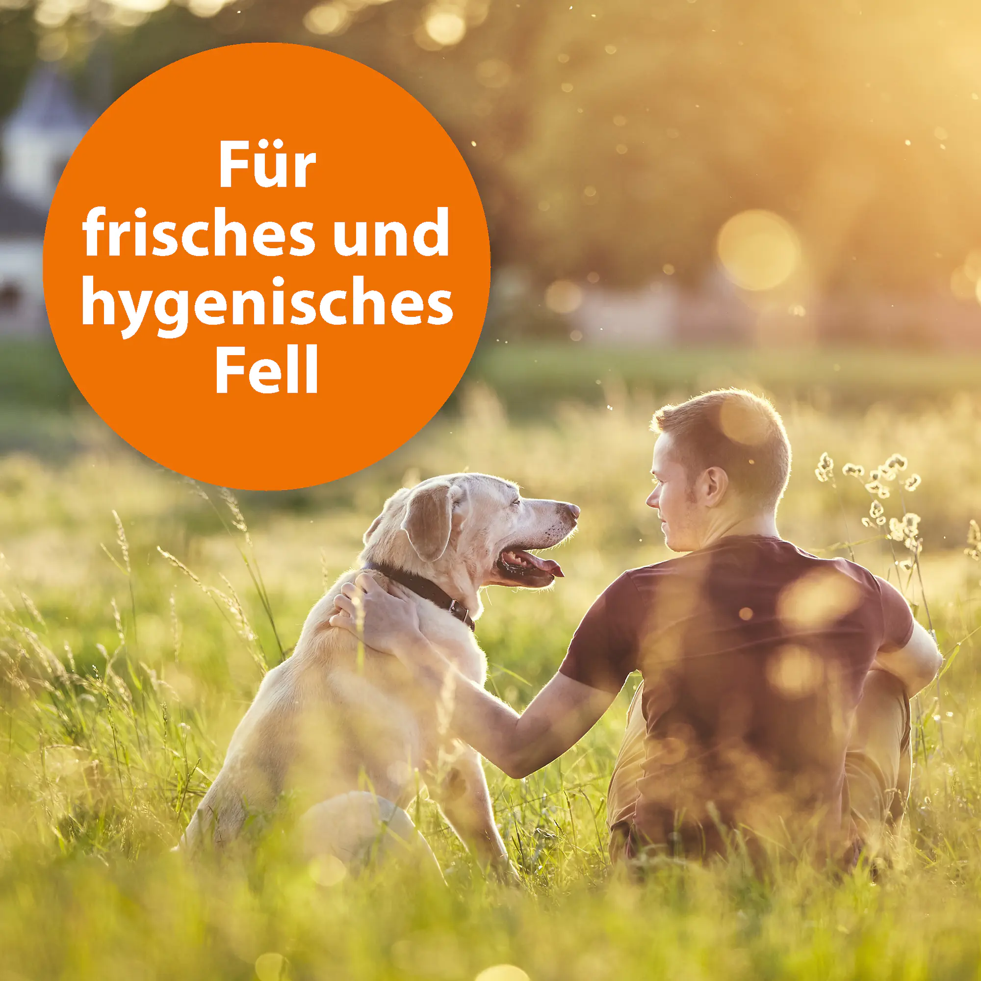 ARDAP Anti Zecken-Shampoo für Hunde 250 ml