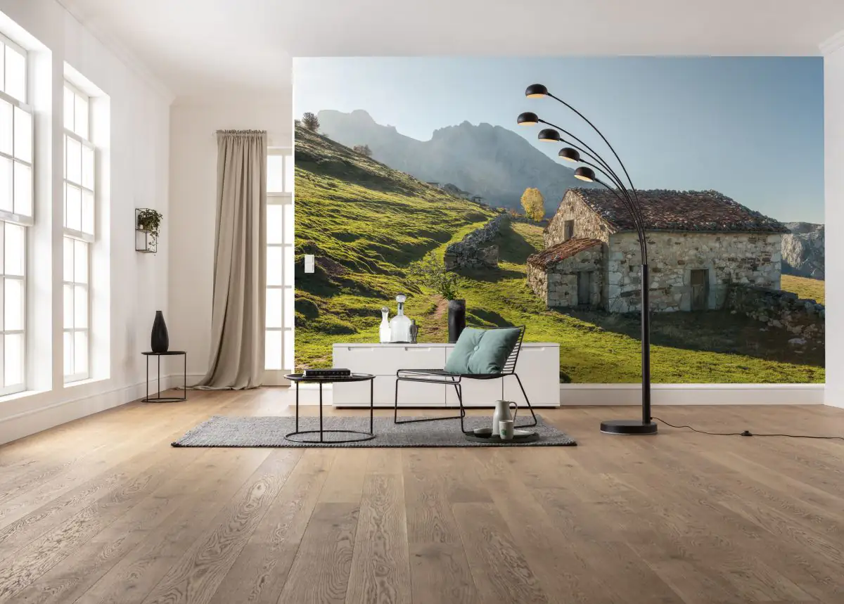 Komar Vlies Fototapete Picos de Europe Alm 450 x 280 cm 