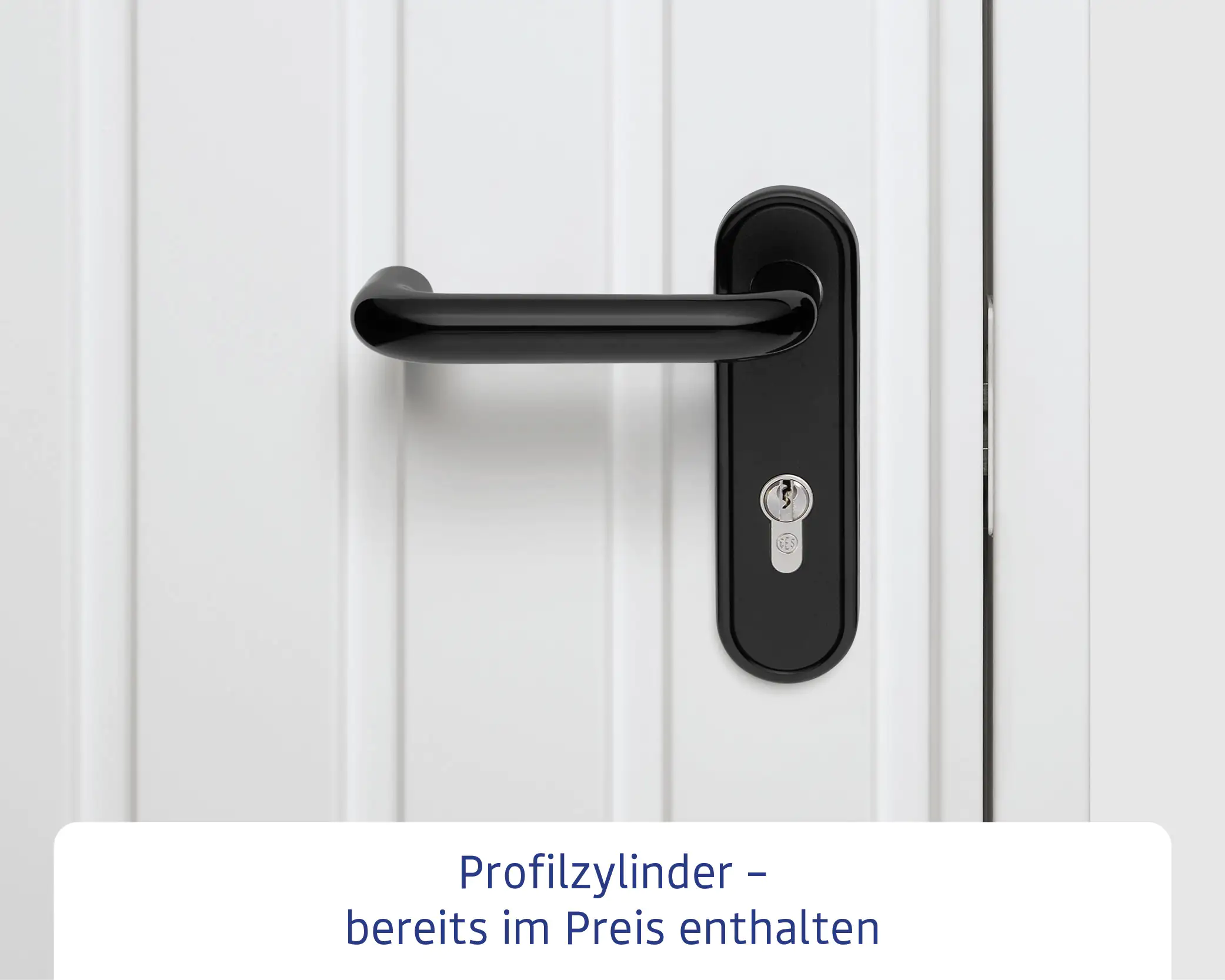 EcoStar Gerätehaus Elegant-S Typ 2 graualuminium 1 flg 258,8 x 247,7 cm