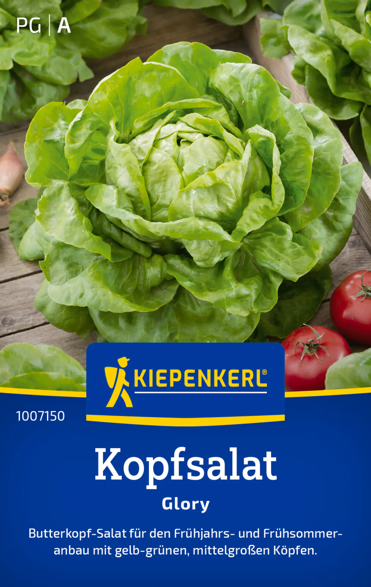 Kiepenkerl Saatgut Kopfsalat Glory für ca. 700 Pflanzen