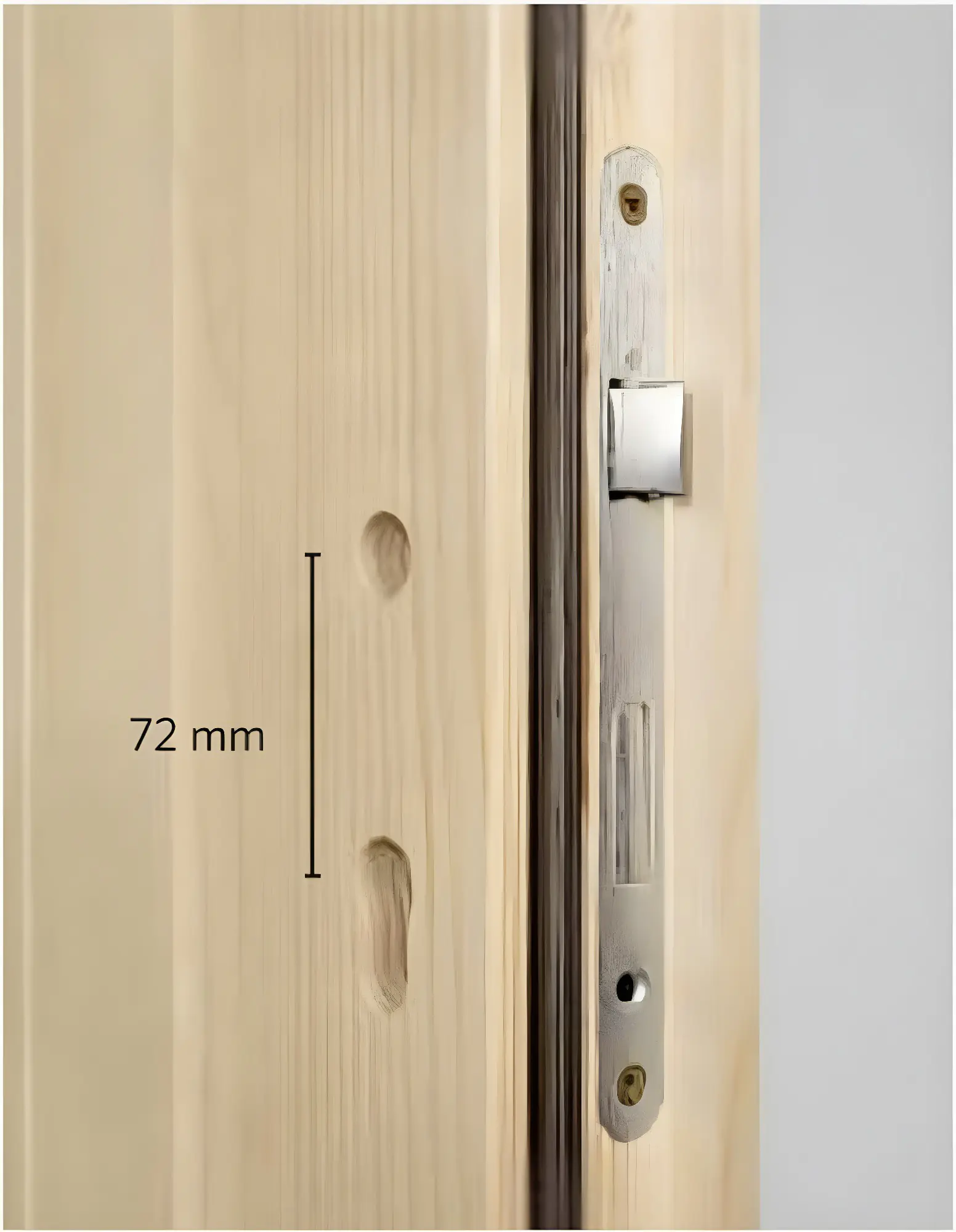 Panto Nebeneingangstür Holz 510 98 x 198 cm DIN links