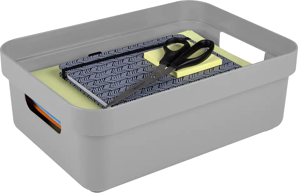 Sunware Aufbewahrungsbox Sigma Home mit Griffen 35,2 x 25,3 cm 9 L hellgrau