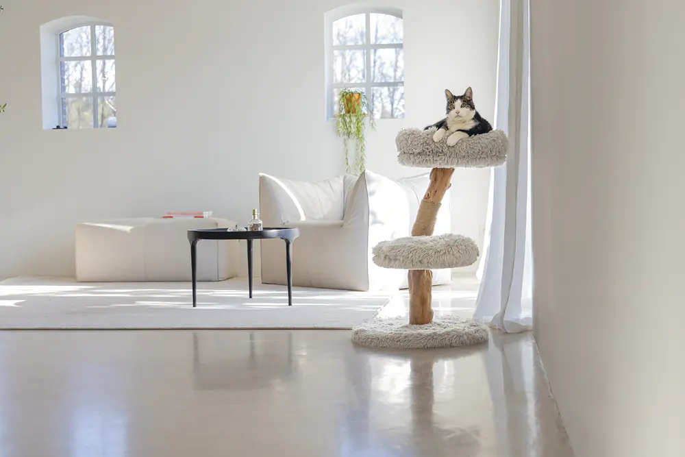 Designed by lotte Kratzbaum Zora H 72 cm 