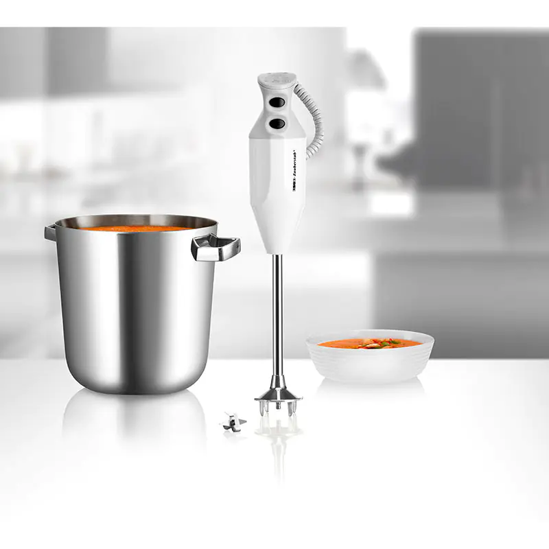 ESGE Zauberstab P 350 Profi Stabmixer 300 W