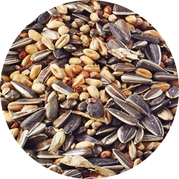 Elles Streufutter für Wildvögel 5 kg