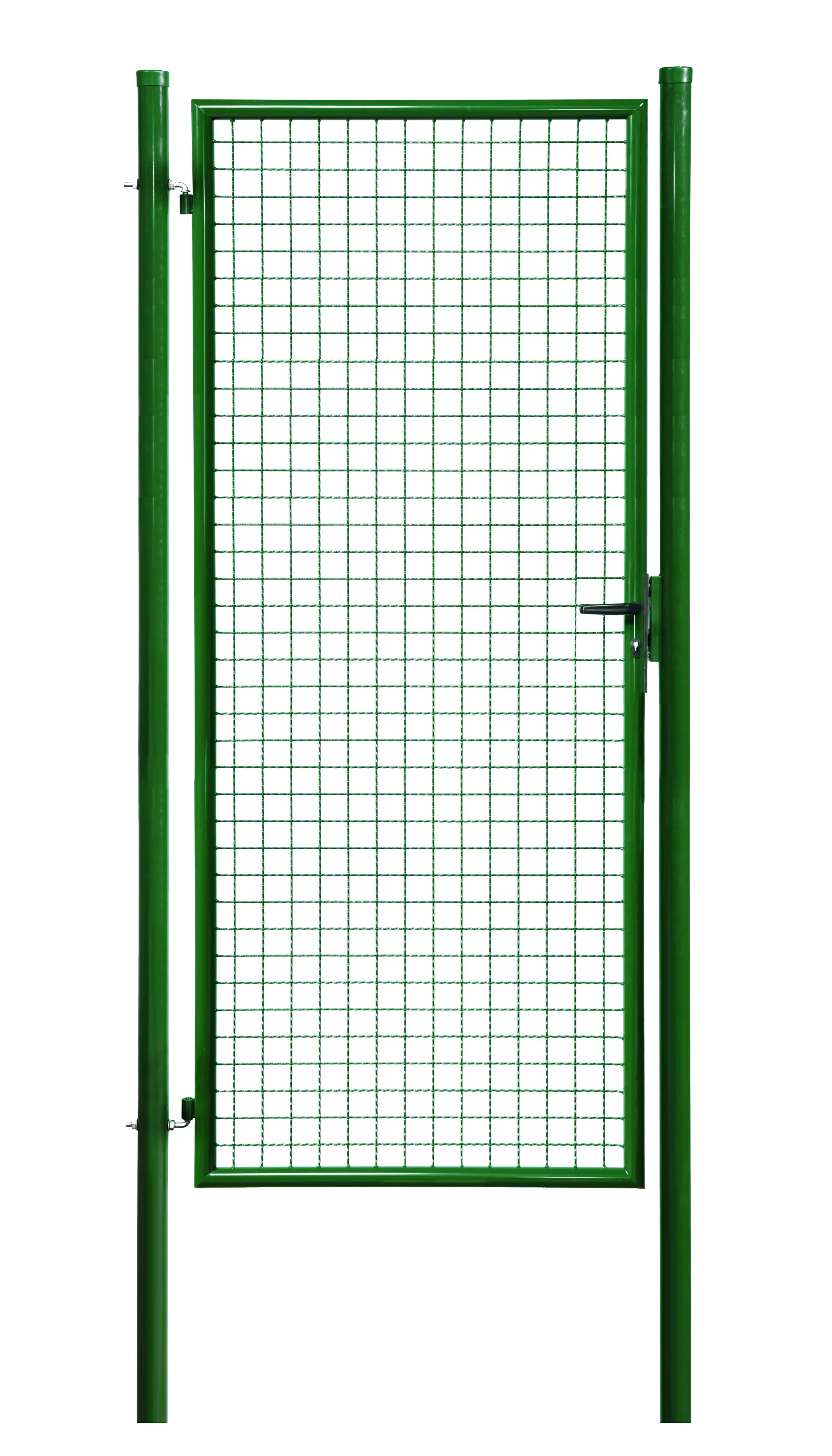 Floraworld Gartentor Standard 100 x 200 cm moosgrün