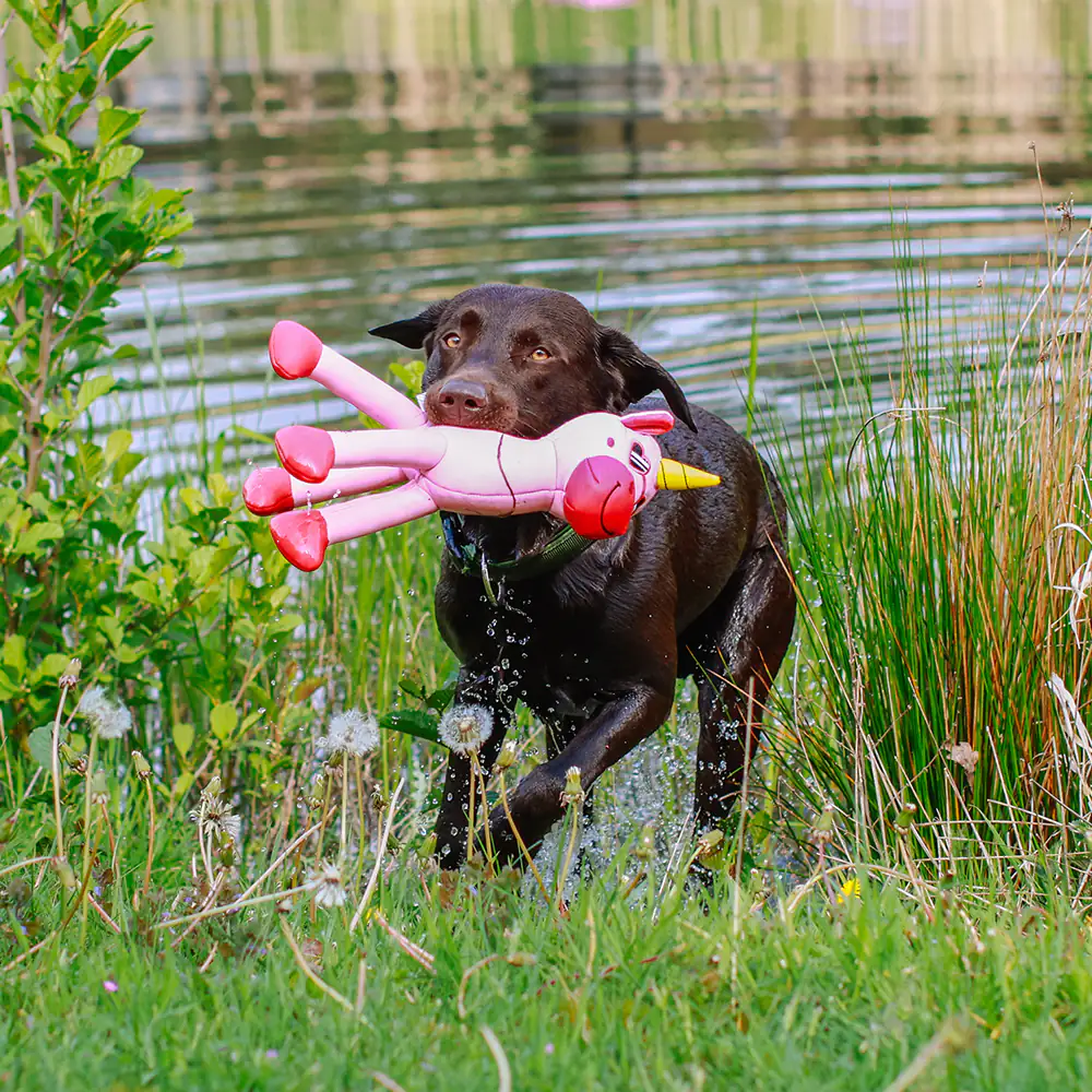 Nobby Wasserspielzeug Hund Einhorn Floating 39,5 cm rosa