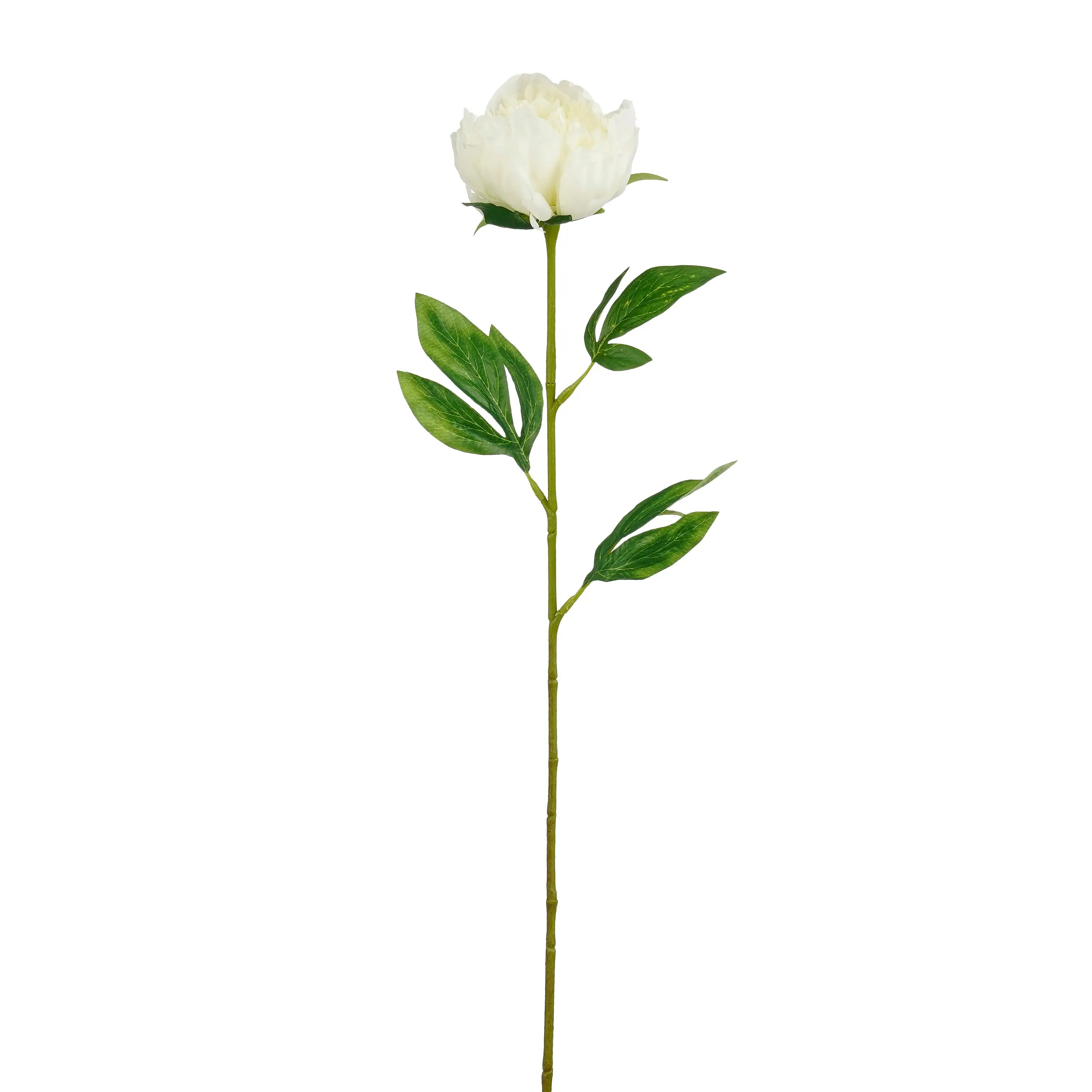 Mica Decorations Kunstpflanze Peonie weiß 60 cm