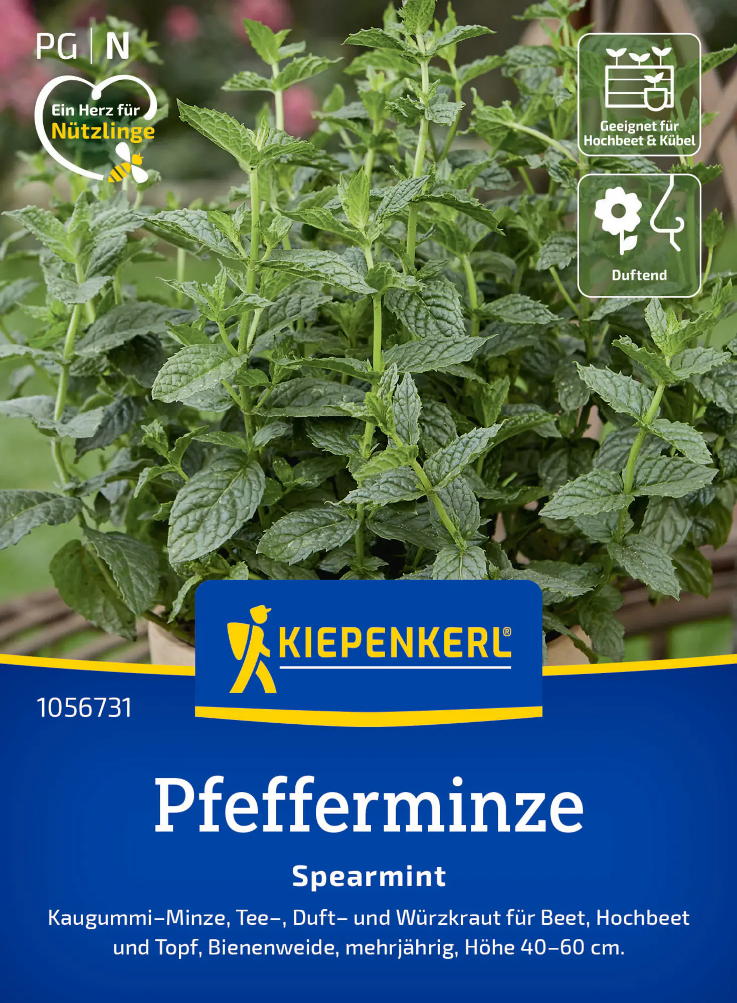 Kiepenkerl Kräutersamen Pfefferminz Spearmint für ca. 200 Pflanzen