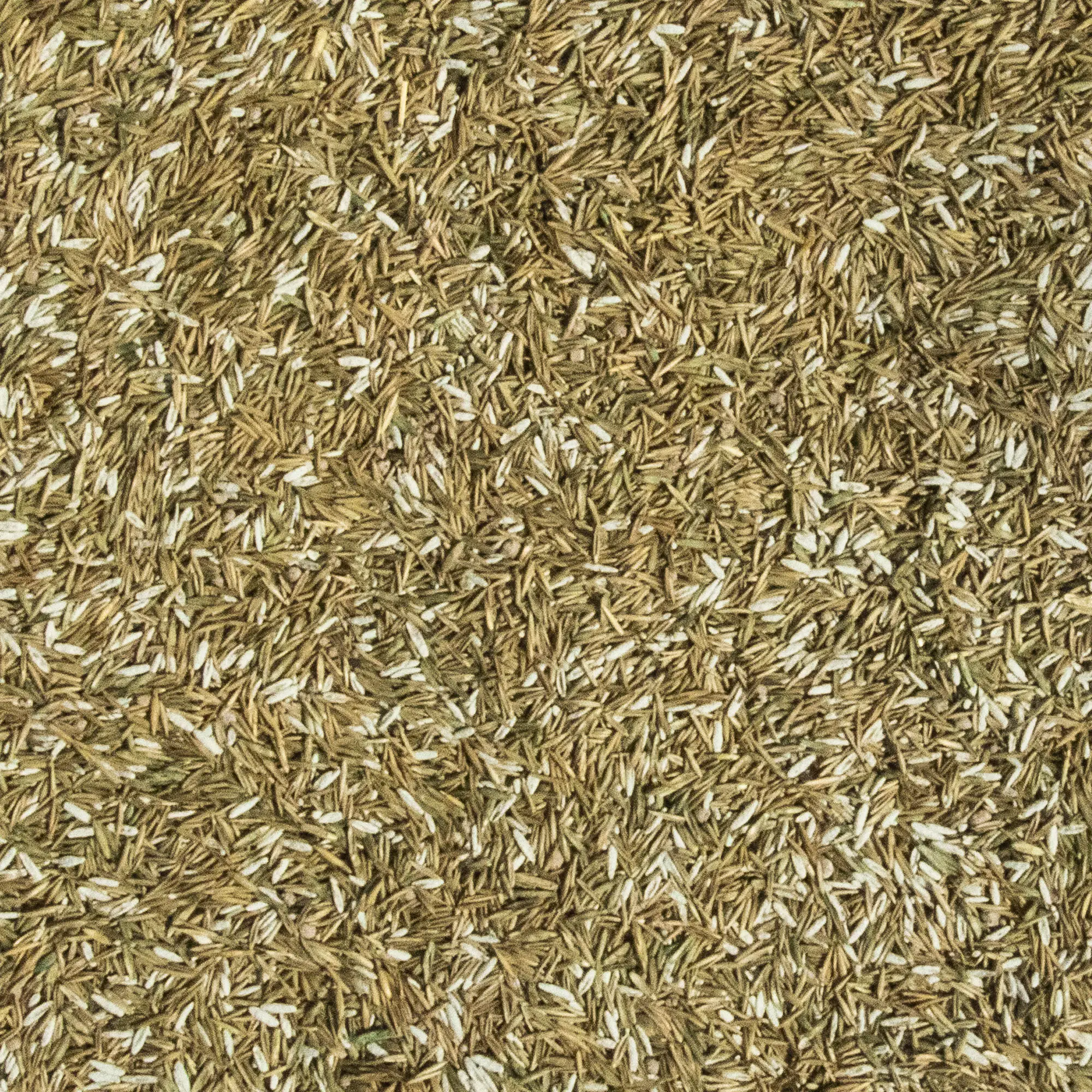 Westland Smart Green Neueinsaat für 100 m² 2,5 kg
