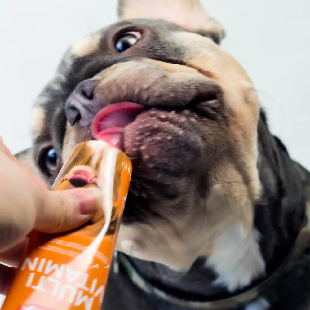 Nobby Multi-Vitamin für Hunde 100 g
