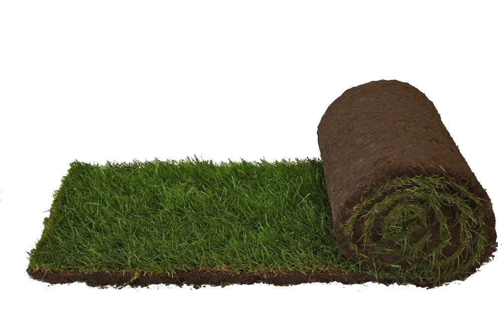 Premoplan Rollrasen Sport- und Spiel ab 30 m²