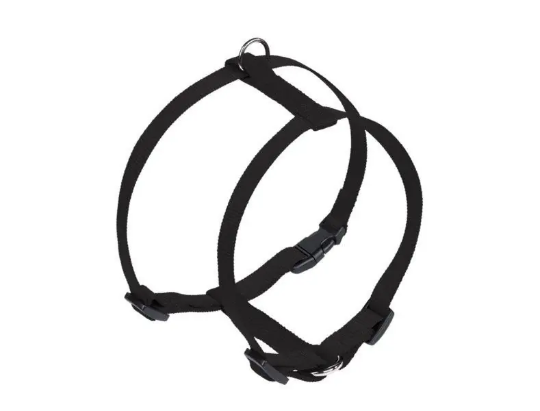 Nobby Hundegeschirr Classic S schwarz
