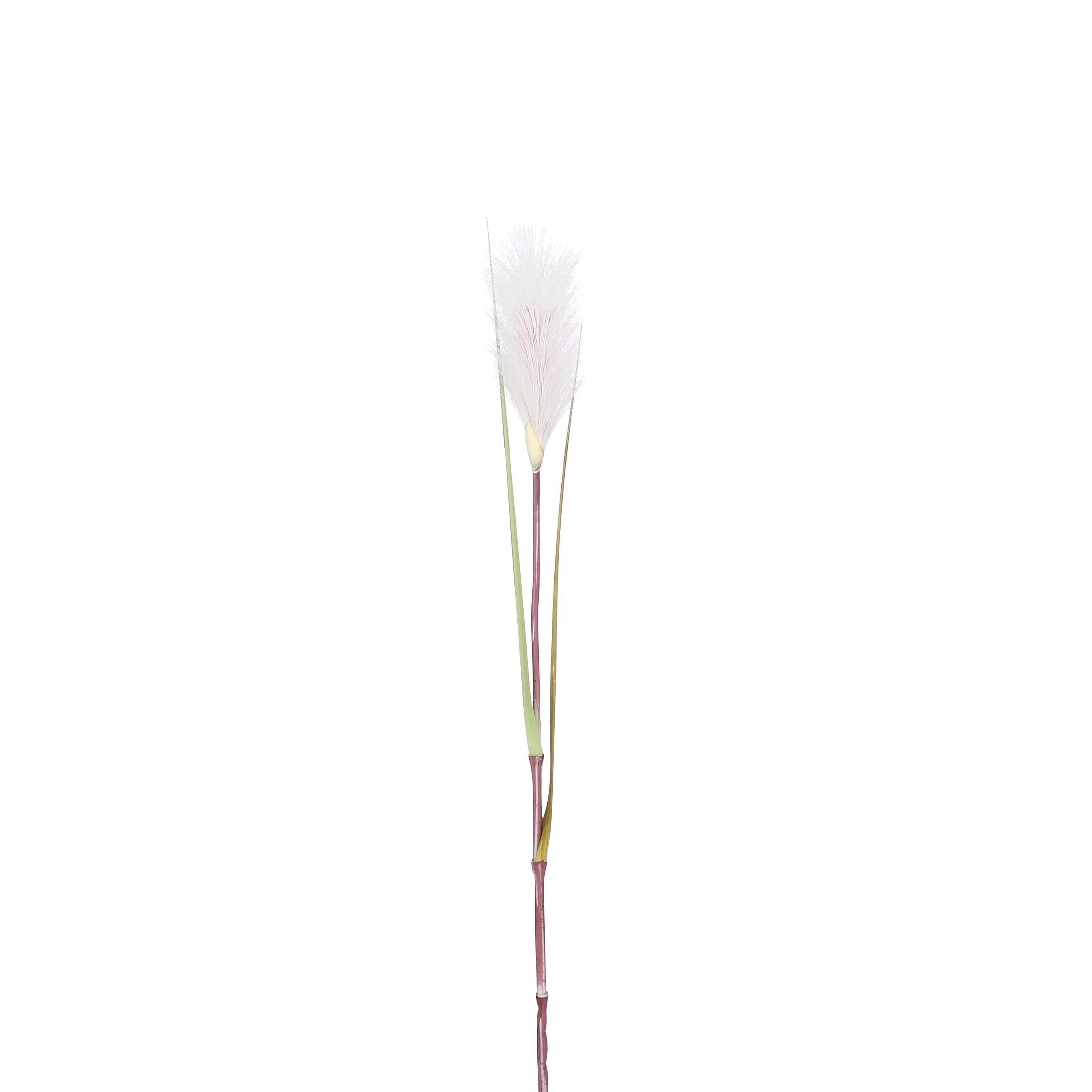 Mica Federgras weiß 72 x 10 cm