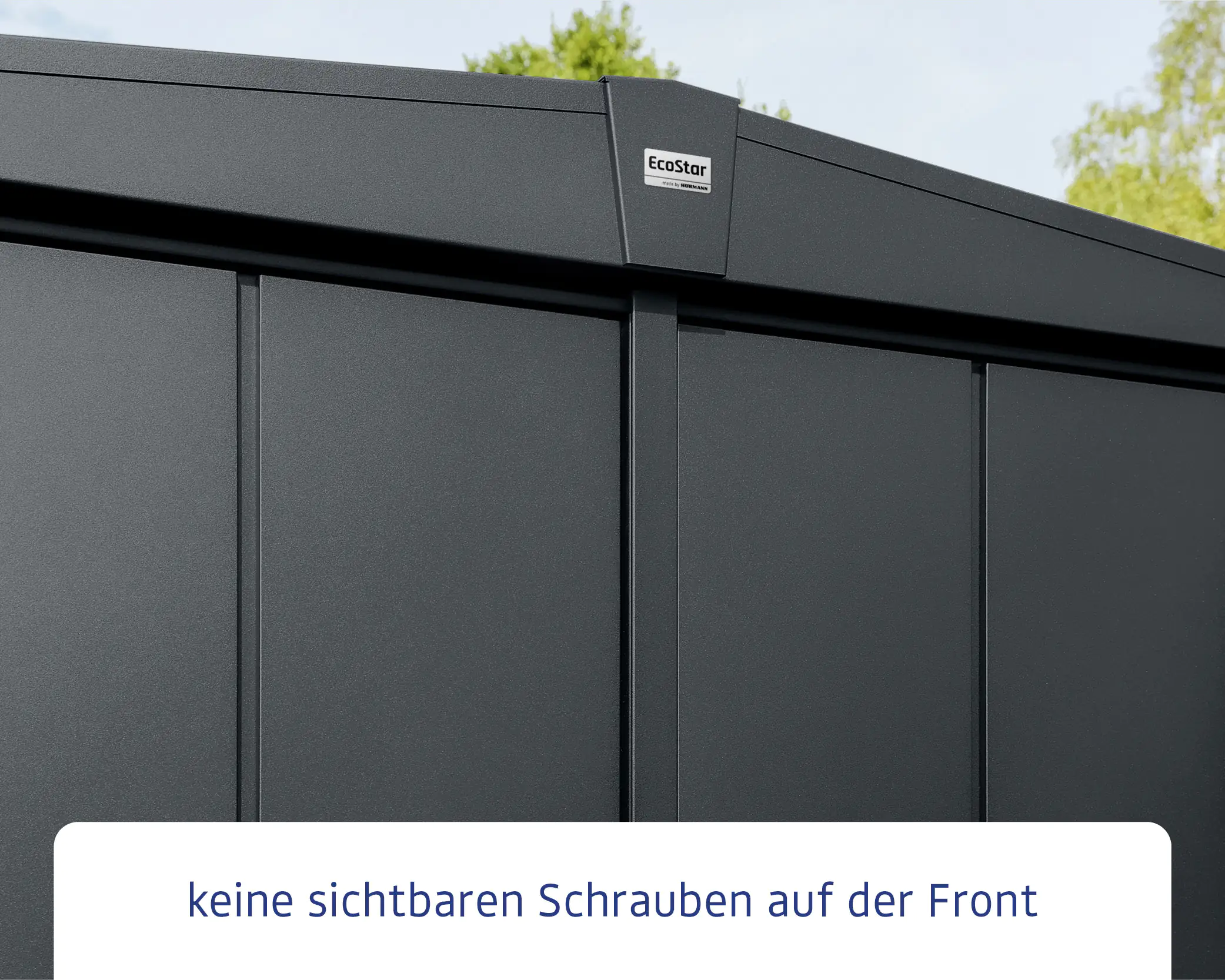 EcoStar Gerätehaus Elegant-S Typ 3 anthrazitgrau 2 flg 323,6 x 247,7 cm