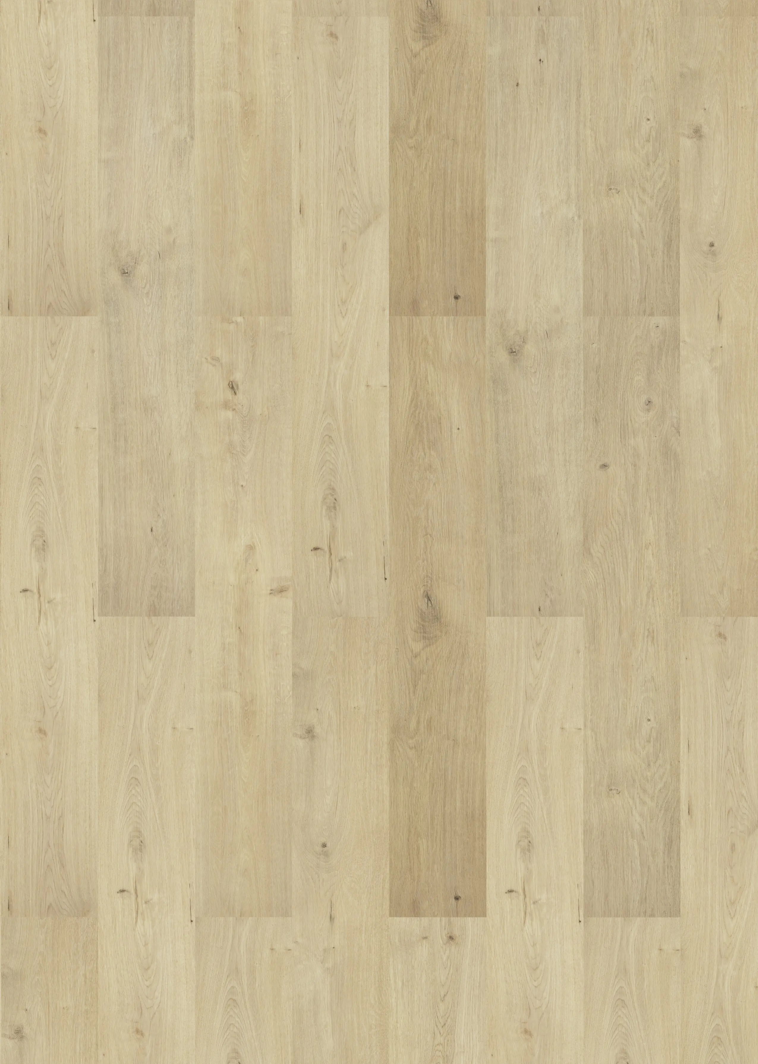 Classen Laminat Megaloc Aquaprotect 128,5 x 19,2 cm 8 mm Eiche Sombra