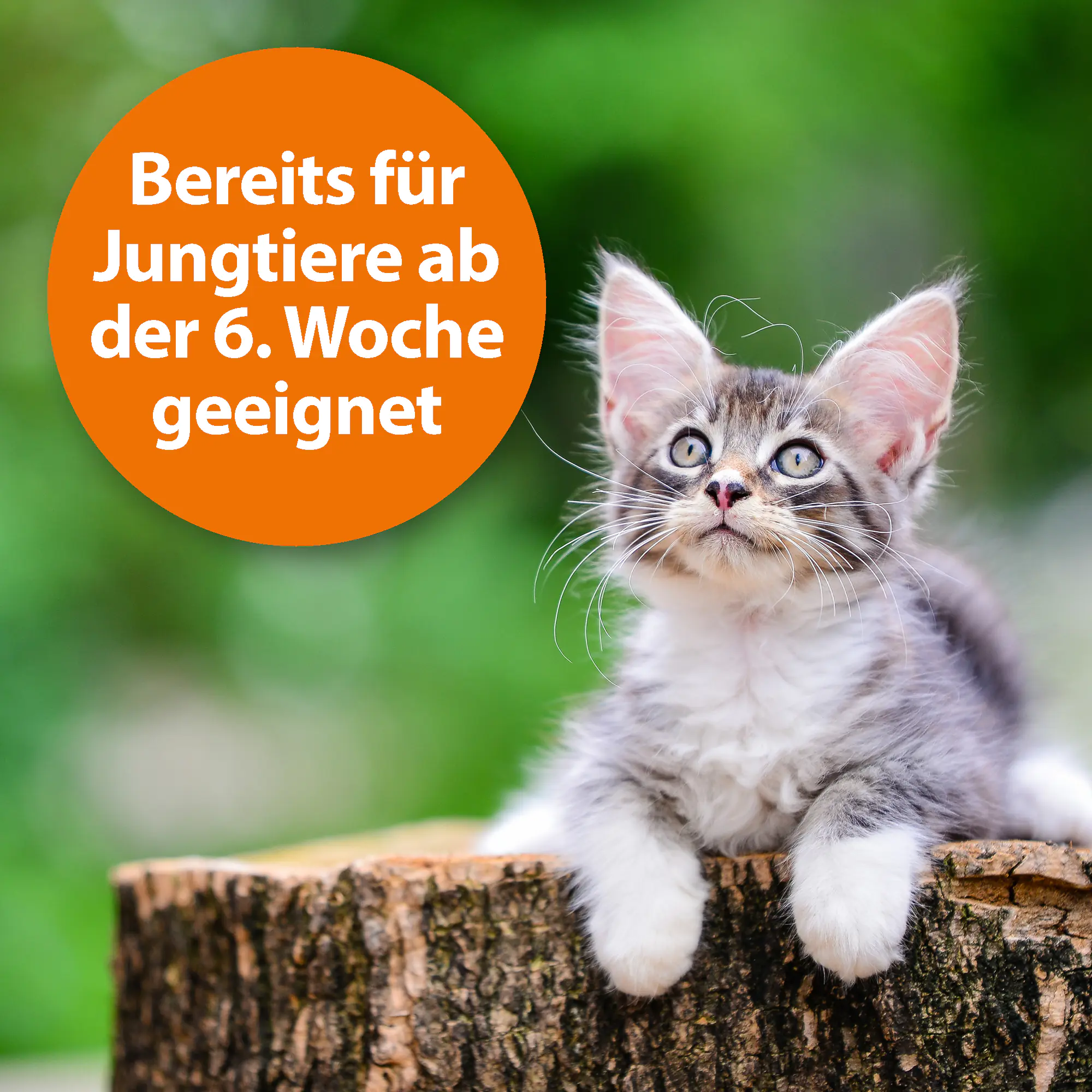 ARDAP Zecken- und Flohschutzpuder für Tiere 150 g