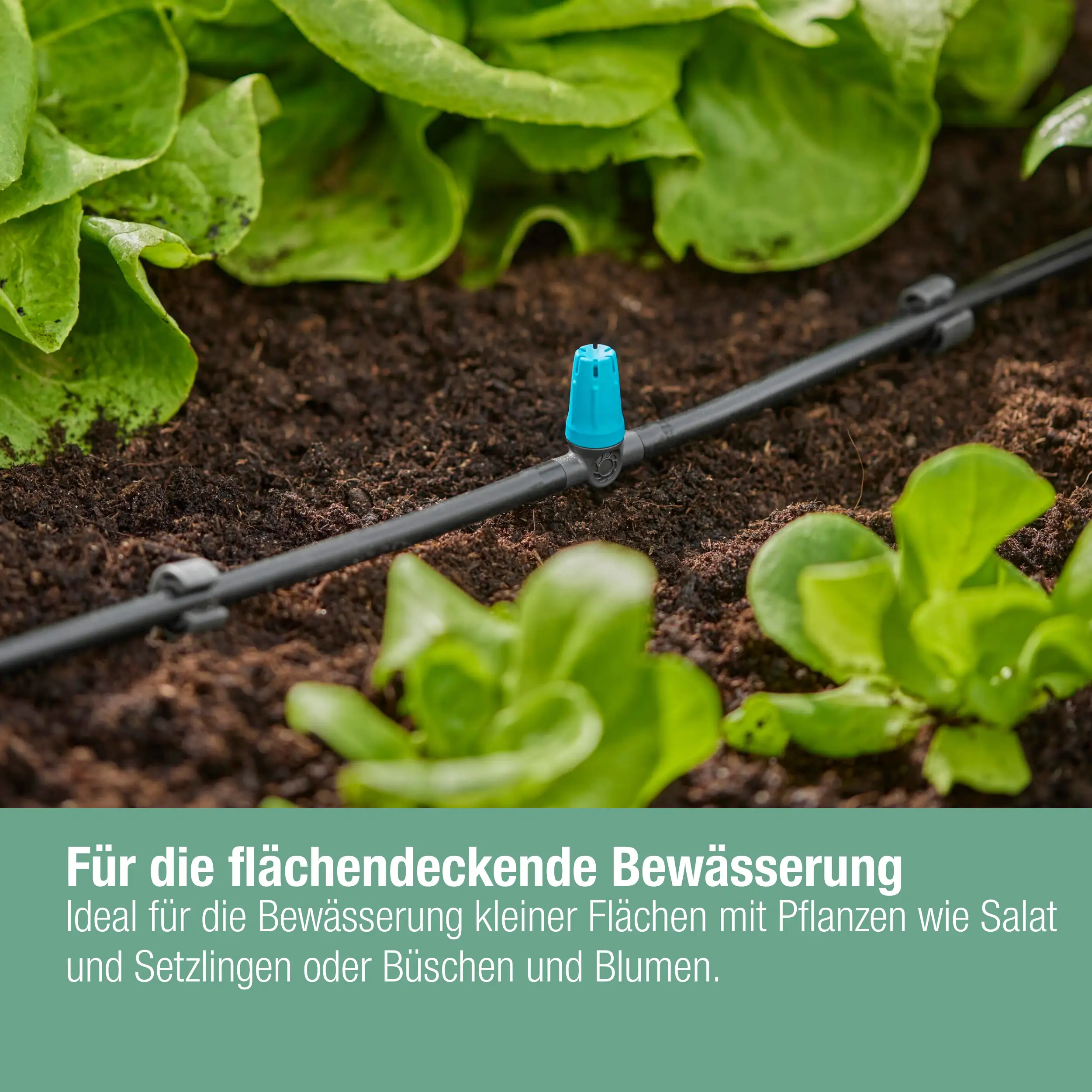 Gardena Kleinflächendüse