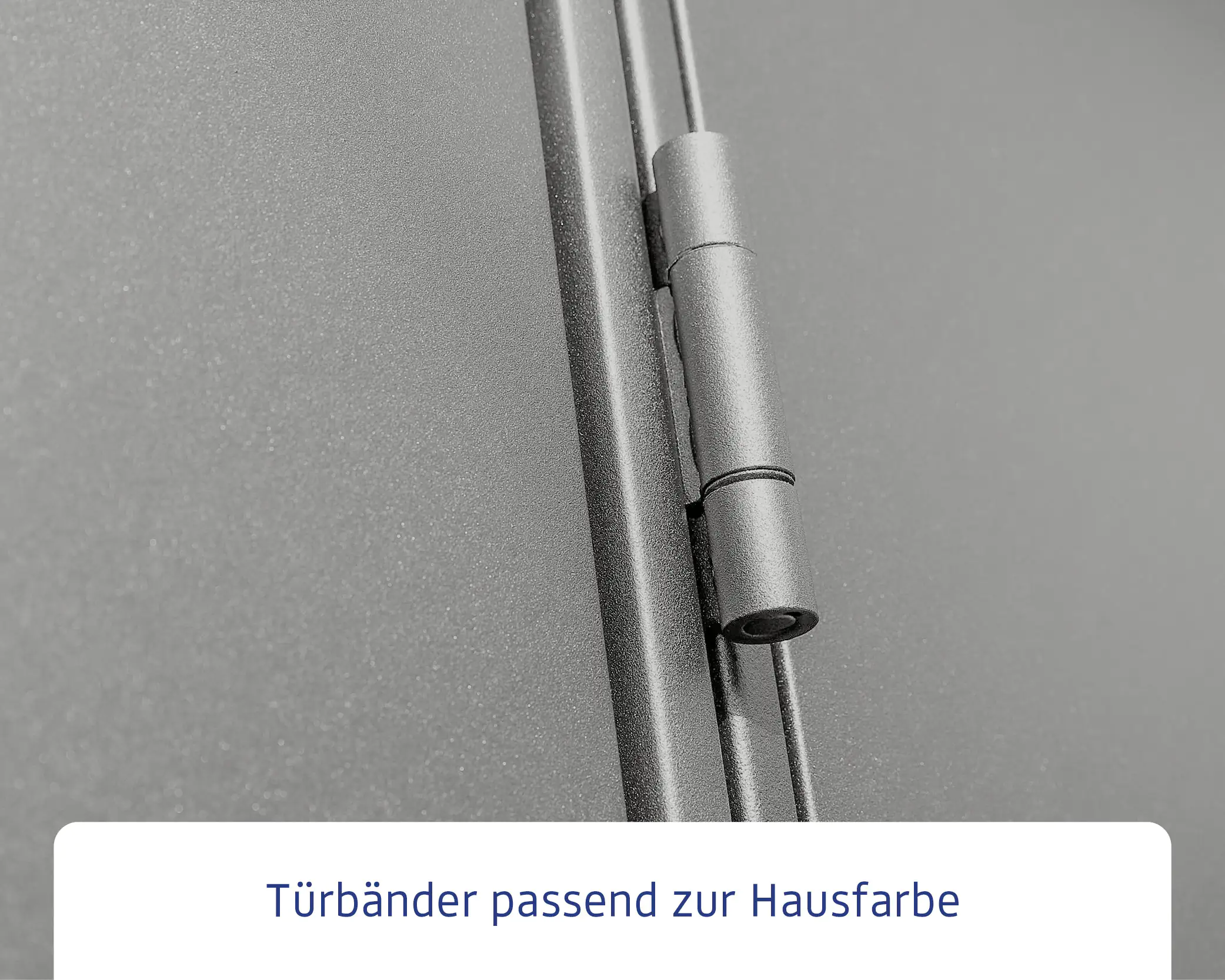 EcoStar Gerätehaus Elegant-S Typ 2 graualuminium 1 flg 258,8 x 247,7 cm