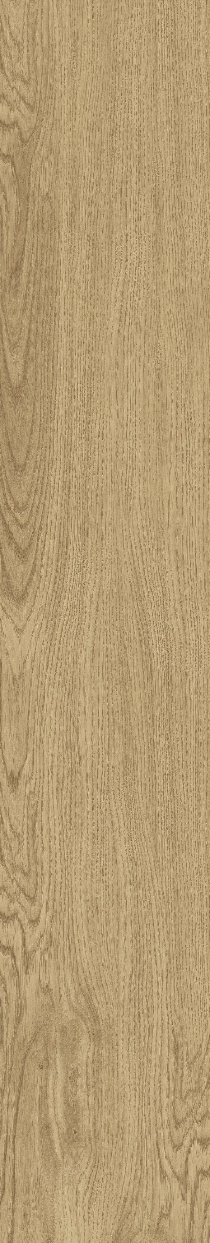 Eurostone Bodenfliese Feinsteinzeug Timber 20 x 120 cm hellbraun
