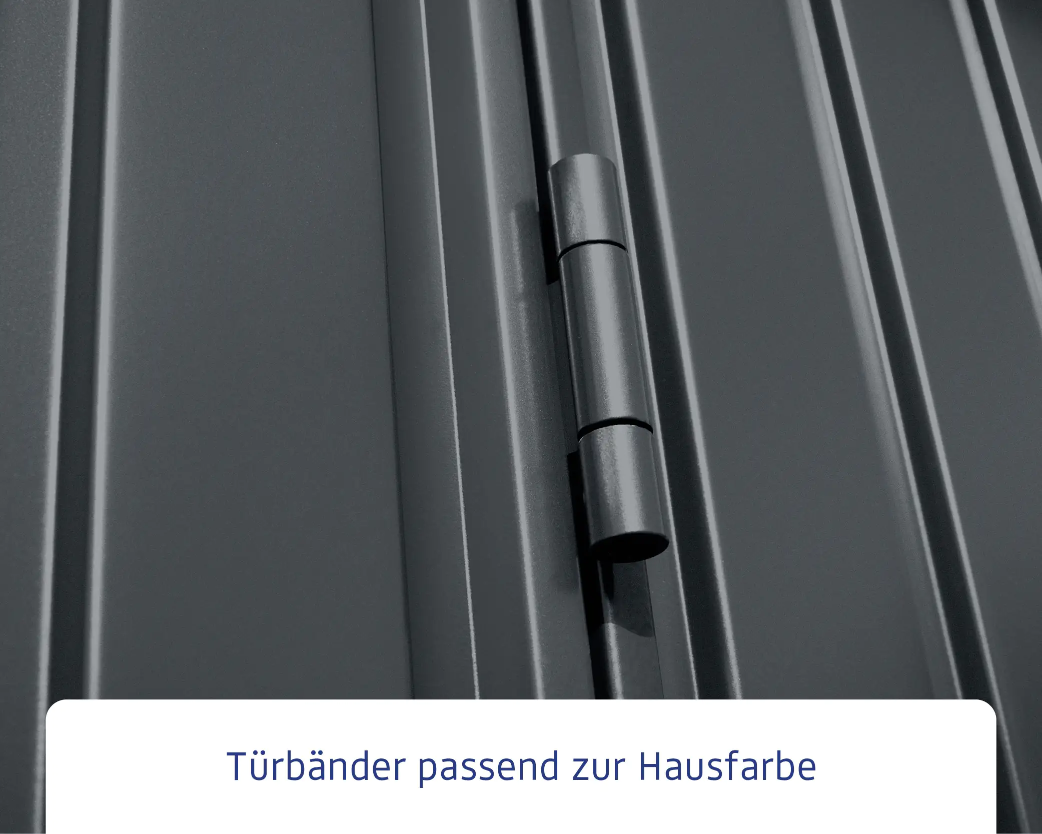 EcoStar Gerätehaus Trend-S Typ 2 258,8 x 247,7 x 216 cm anthrazitgrau