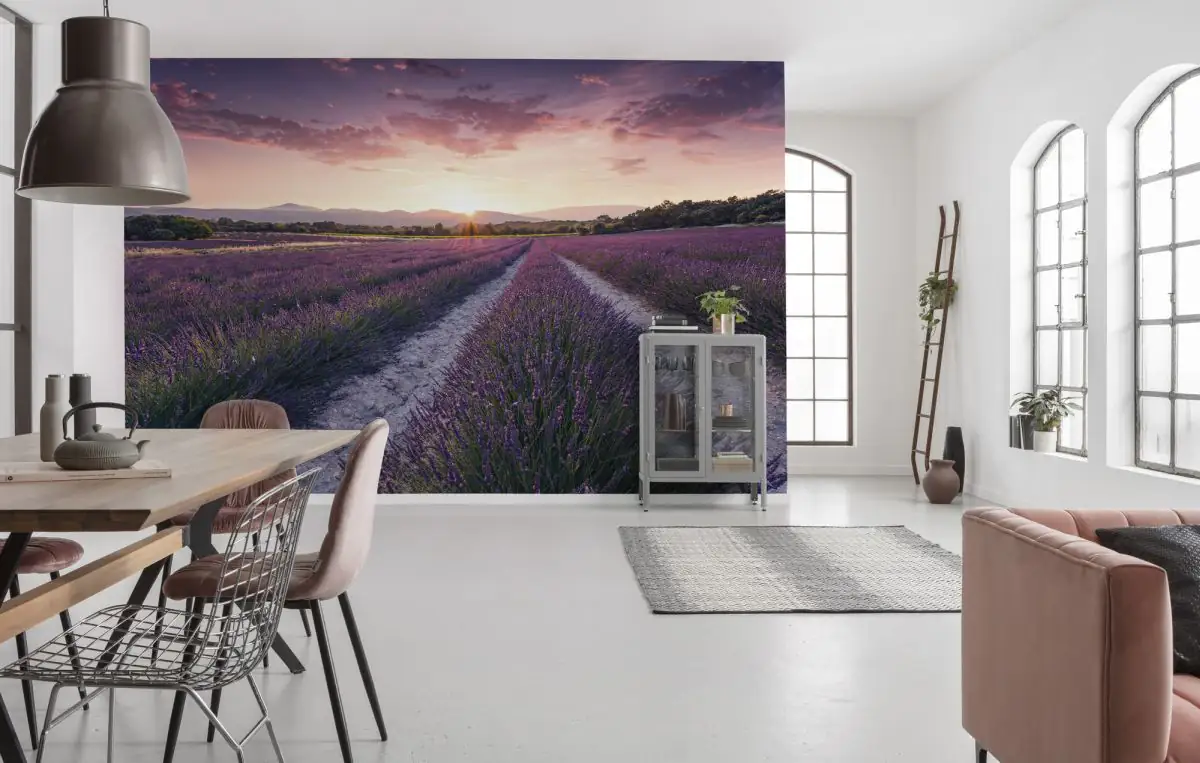 Komar Vlies Fototapete Lavender Dream 450 x 280 cm 