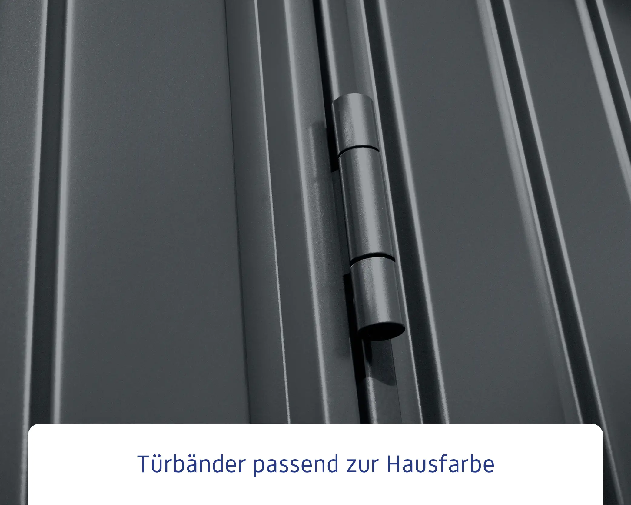 EcoStar Gerätehaus Trend-S Typ 2 258,8 x 247,7 x 216 cm anthrazitgrau