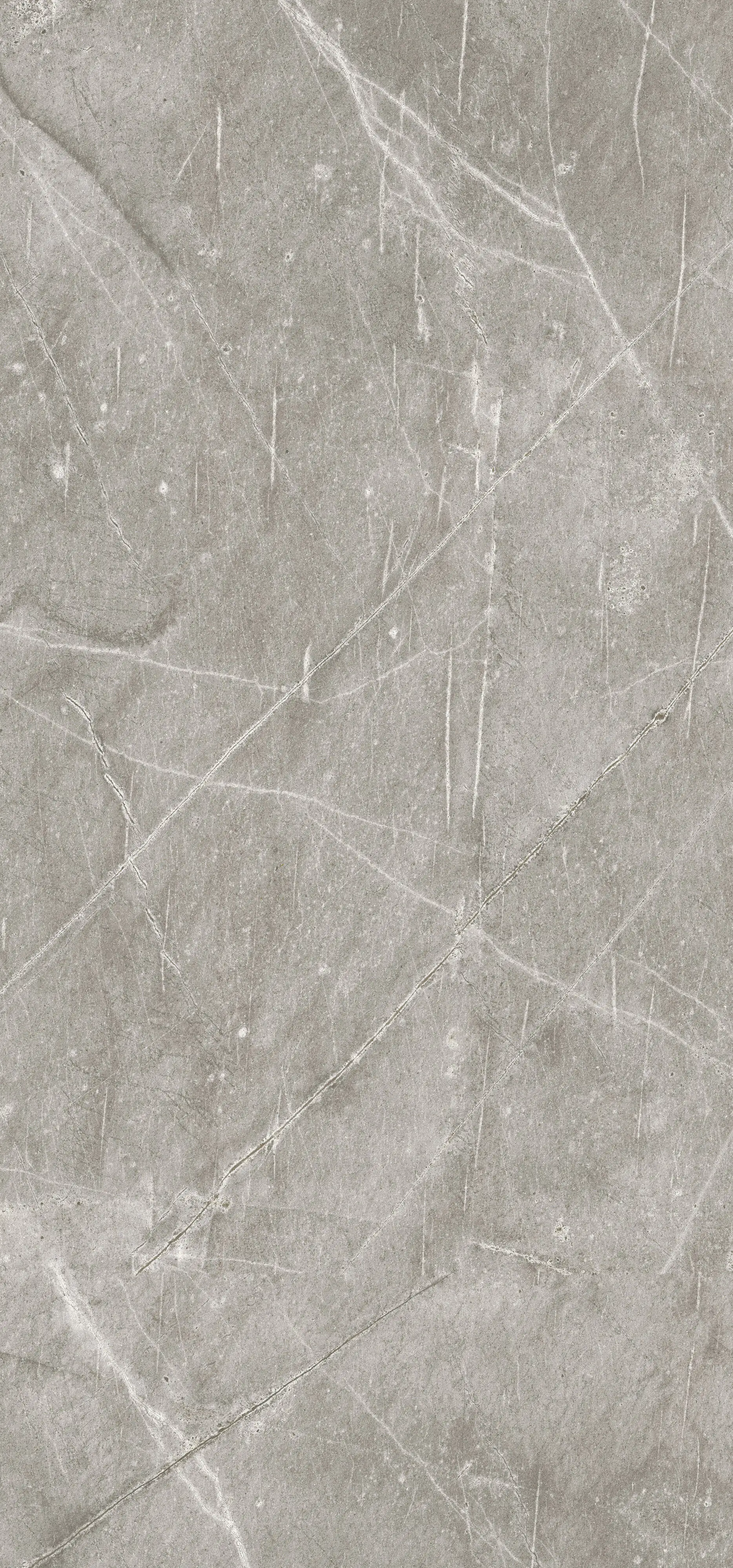 Wandpaneel Rocko Grey Atlantic 265 x 123 x 0,4 cm grau