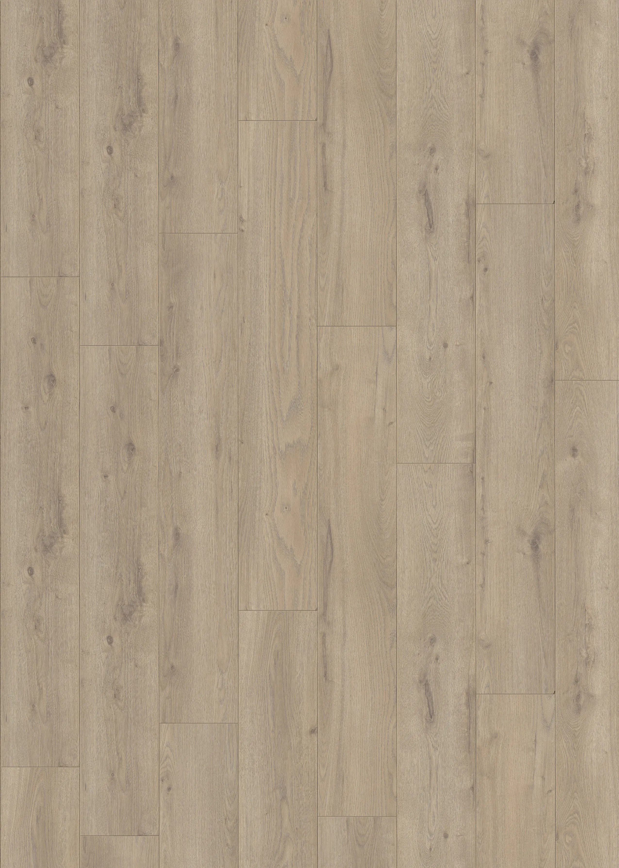 Classen Laminat Megaloc Aquaprotect 128,5 x 19,2 cm 8 mm Oak light brown