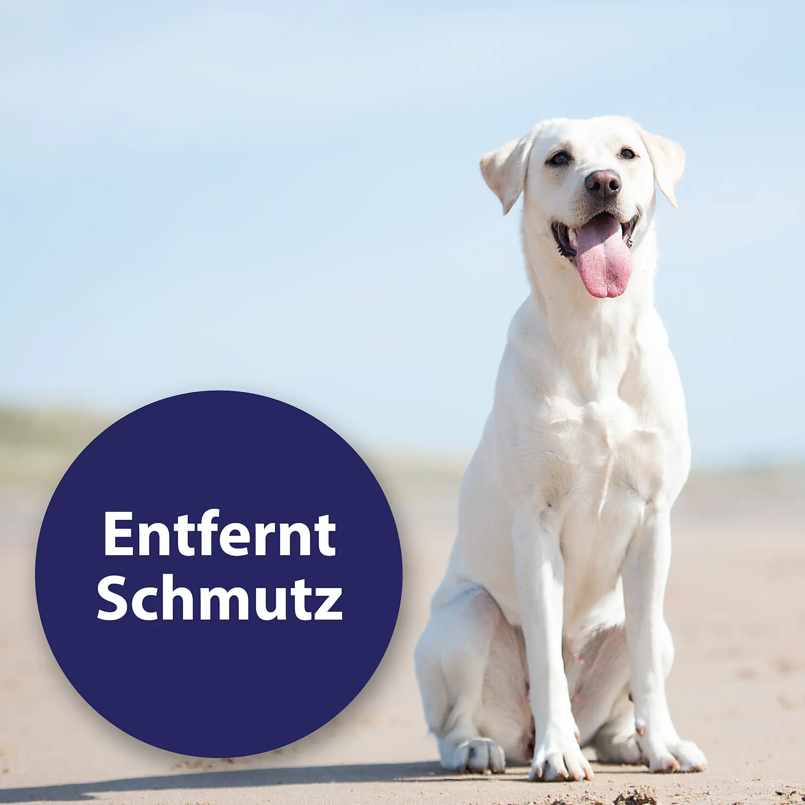 Canosept Ohrreiniger für Hunde 125 ml