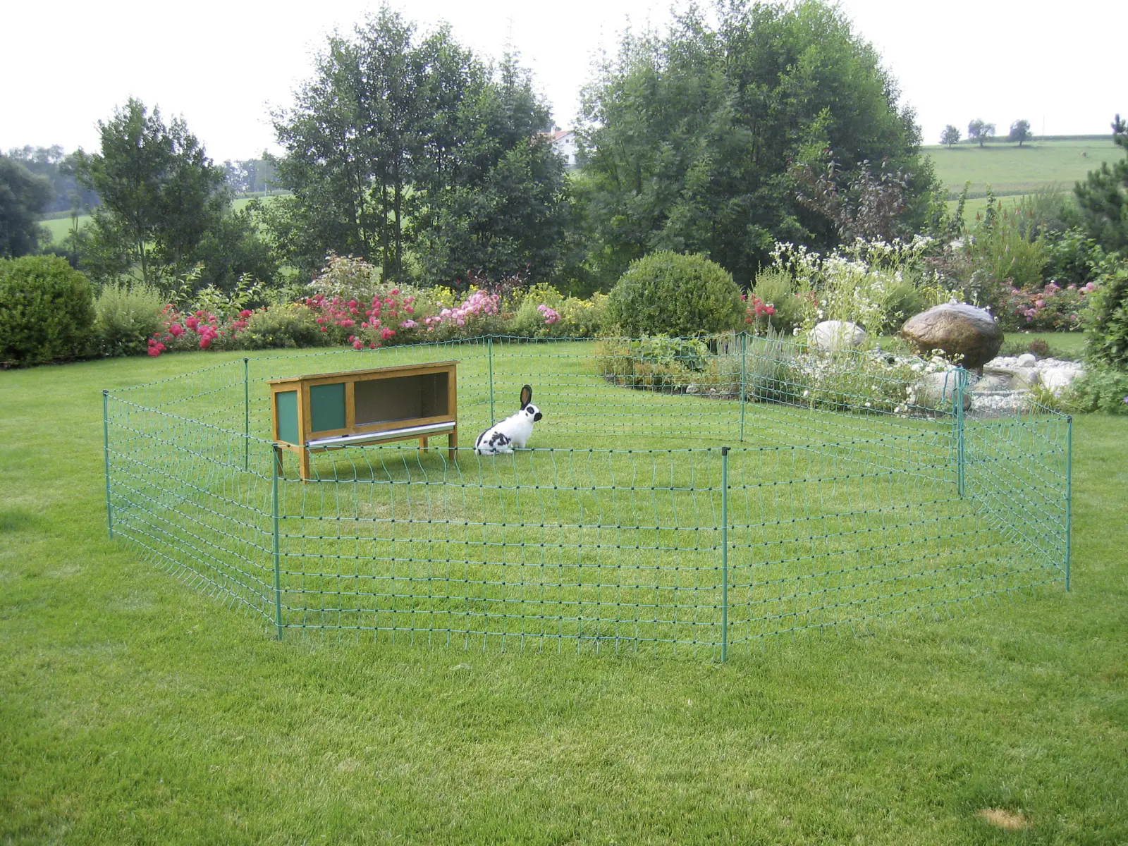 Kerbl Kaninchennetz grün LxH 12m x 65 cm