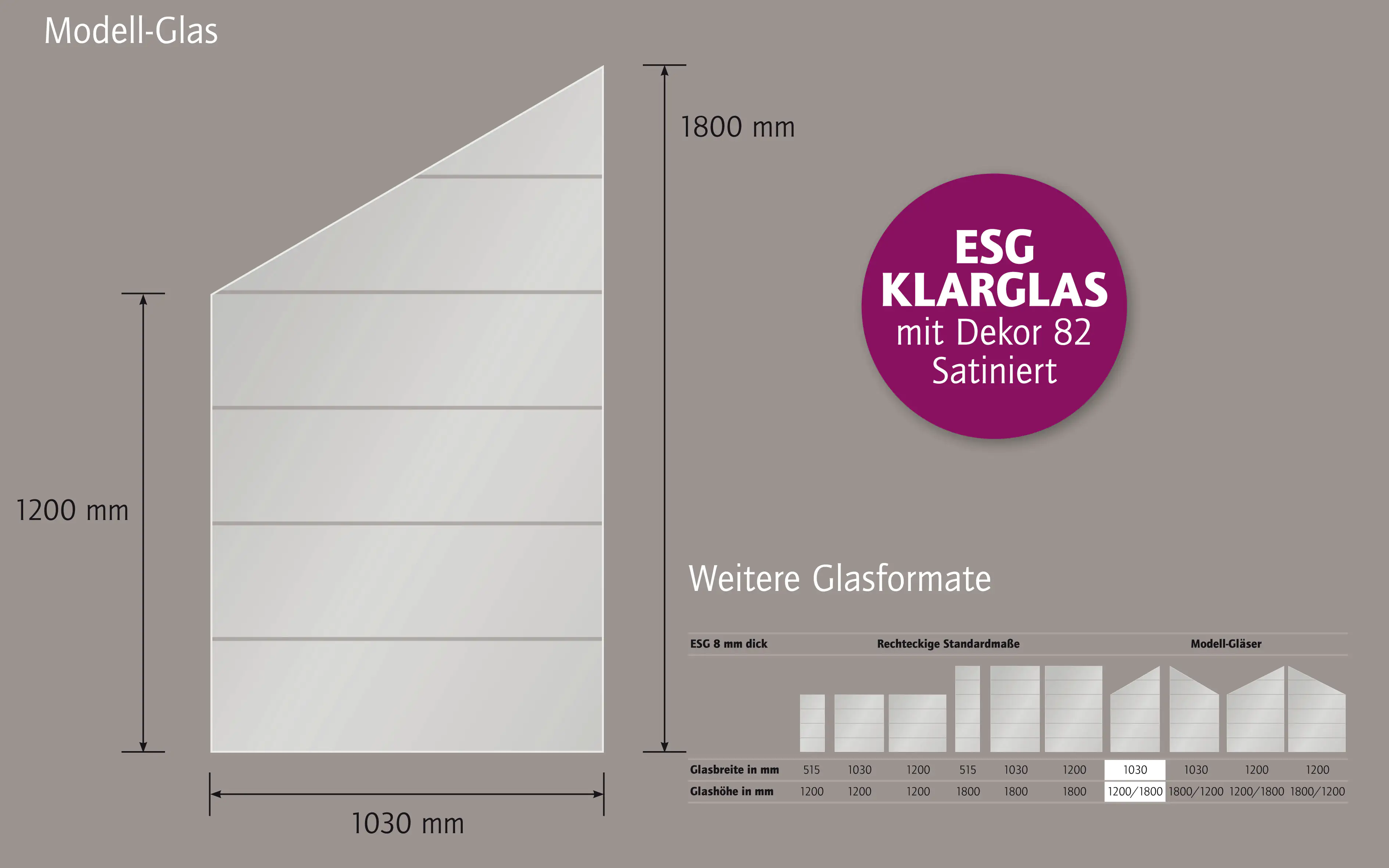 Ambiente Glaszaun Dekor 82 schräg 103 x 120/180 cm gehärtetes 8 mm Glas