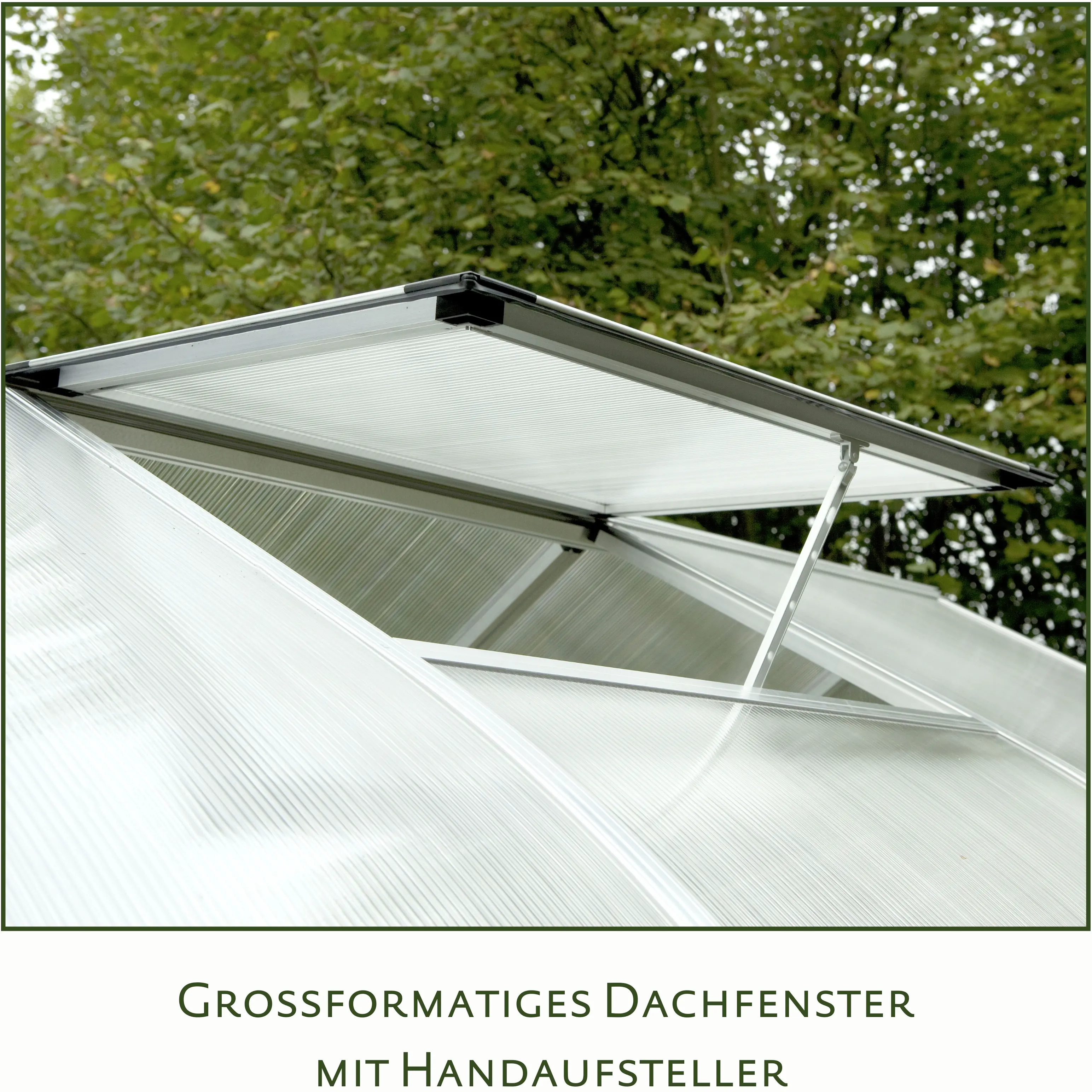 KGT Gewächshaus Rhodo IV 2,27 x 3 m, pressblank