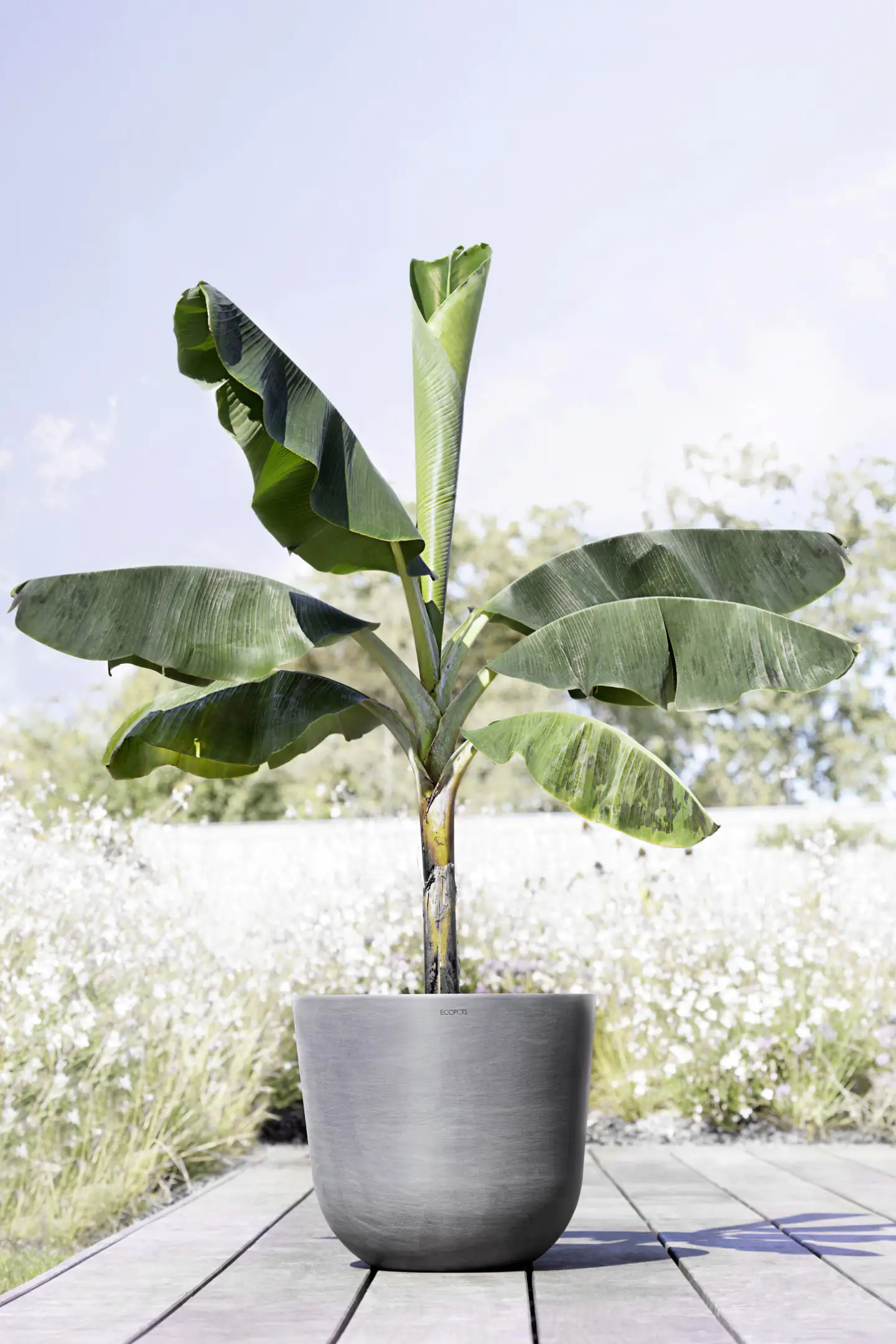 Ecopots Pflanztopf Oslo Ø 45 x 39,2 cm grau