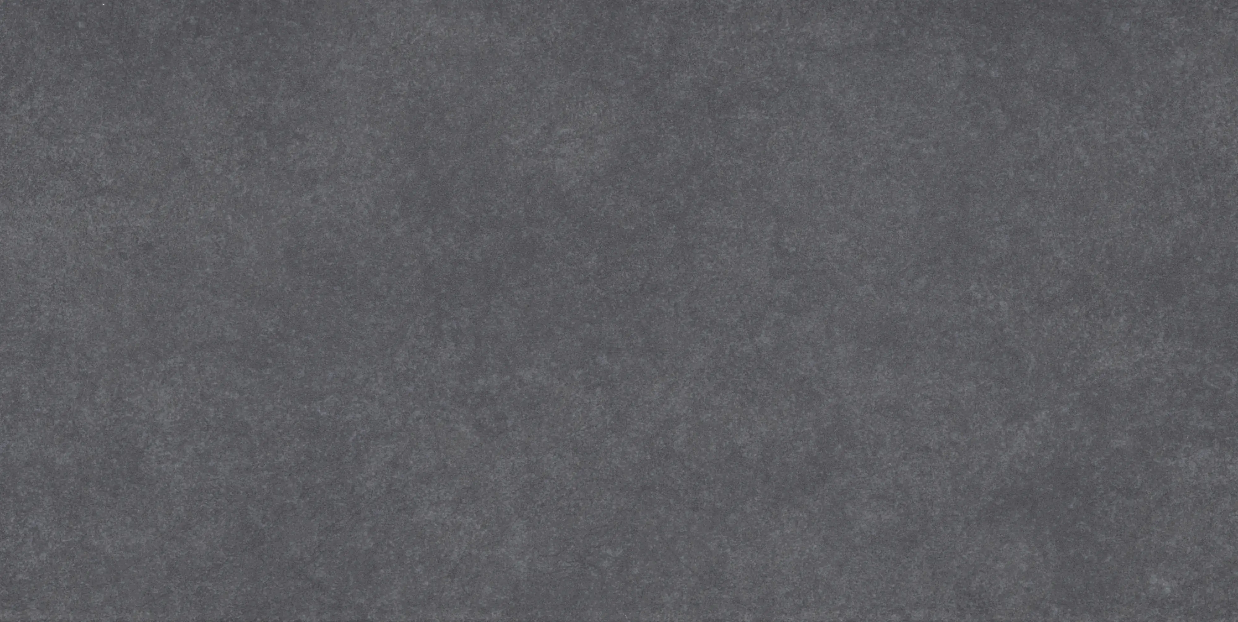 Bodenfliese Feinsteinzeug Absolute 31 x 62 cm anthrazit