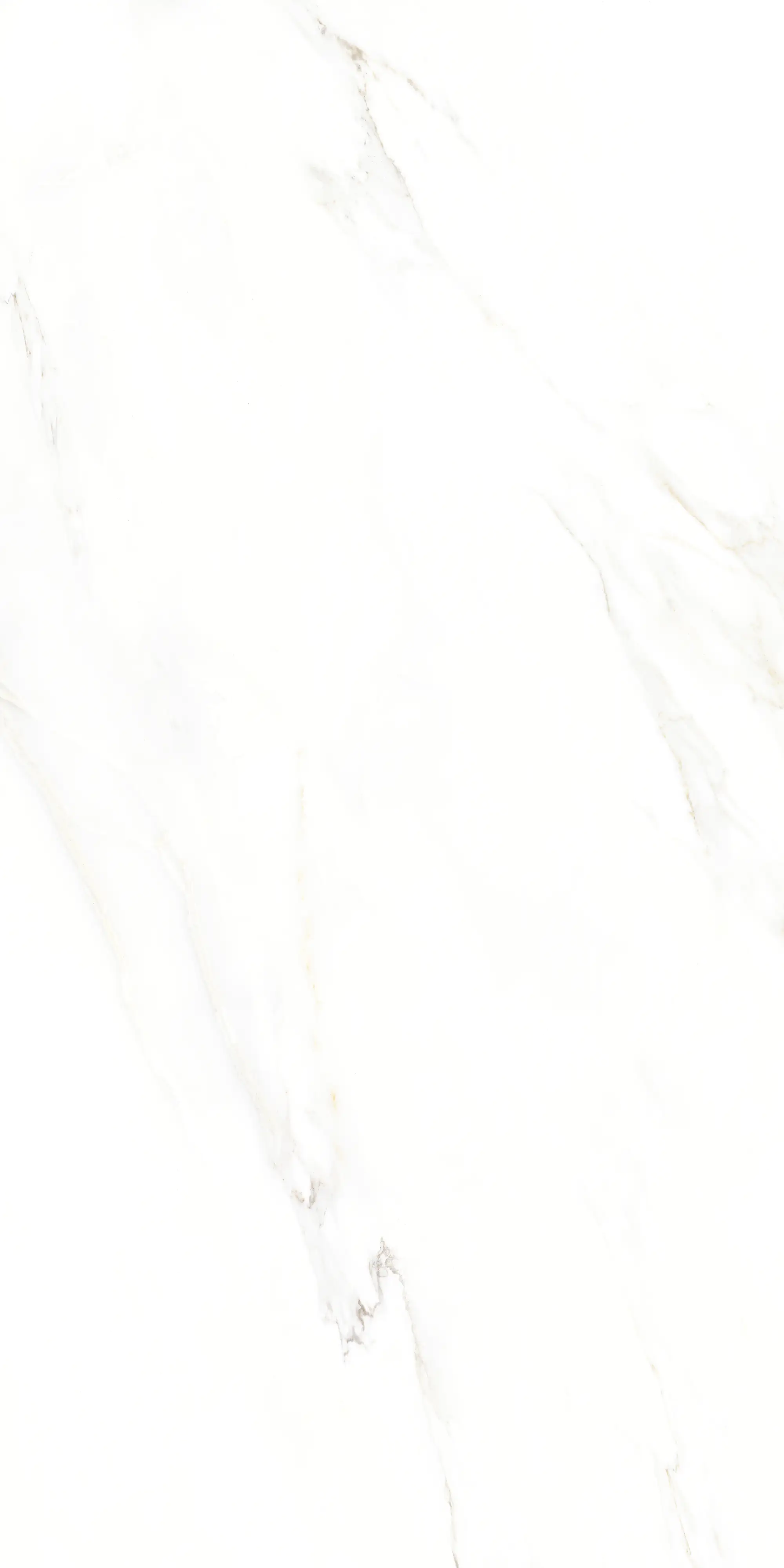 Bodenfliese Feinsteinzeug Calacatta 60 x 120 cm weiß