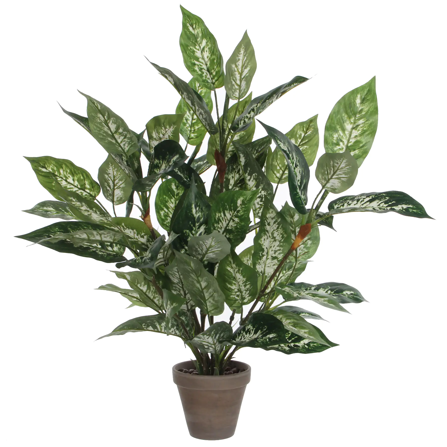 Mica Kunstpflanze Dieffenbachia grün im Topf 70 x 55 cm