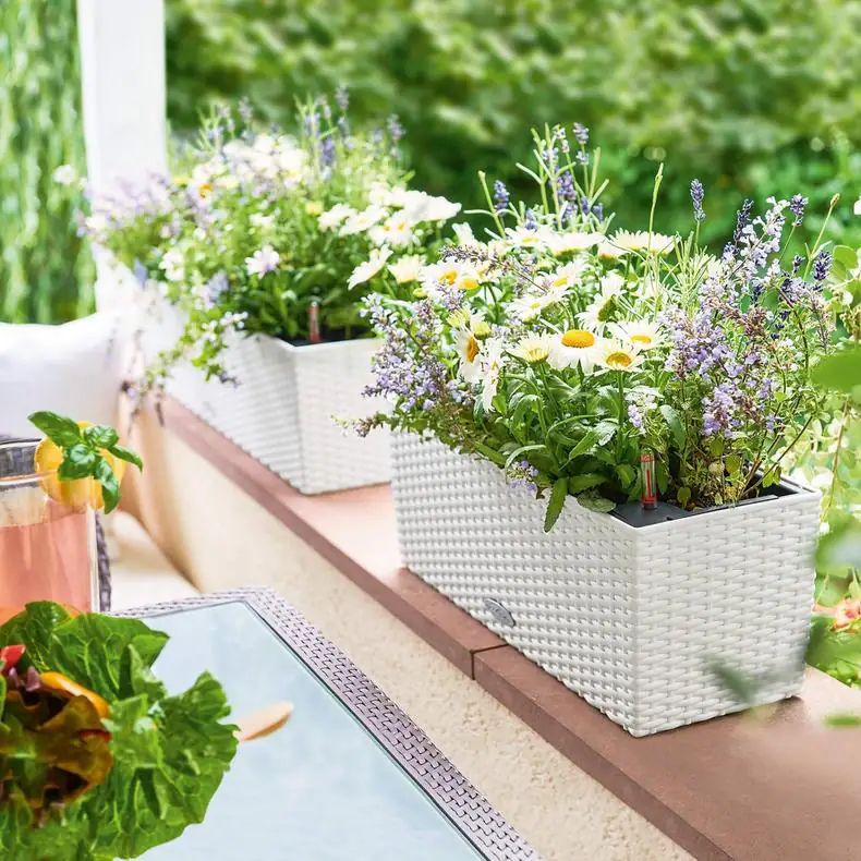 Lechuza Balkonkasten BALCONERA Cottage 50 cm, weiß