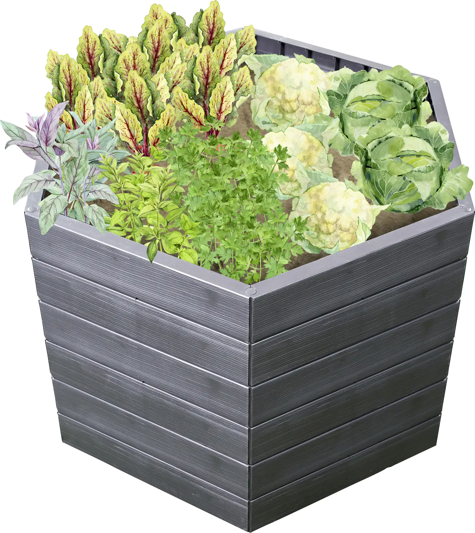 Garantia Hochbeet Ergo L 75 95 x 110 x 75 cm, wood, mit Flora Wassersystem